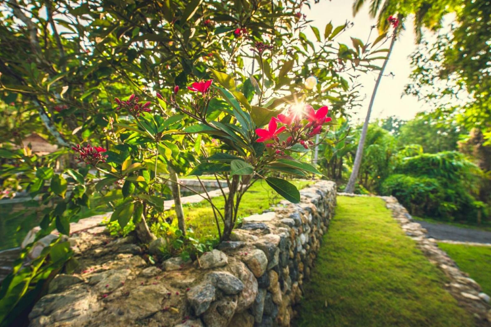 Family Room with Private Bathroom - Photo 14