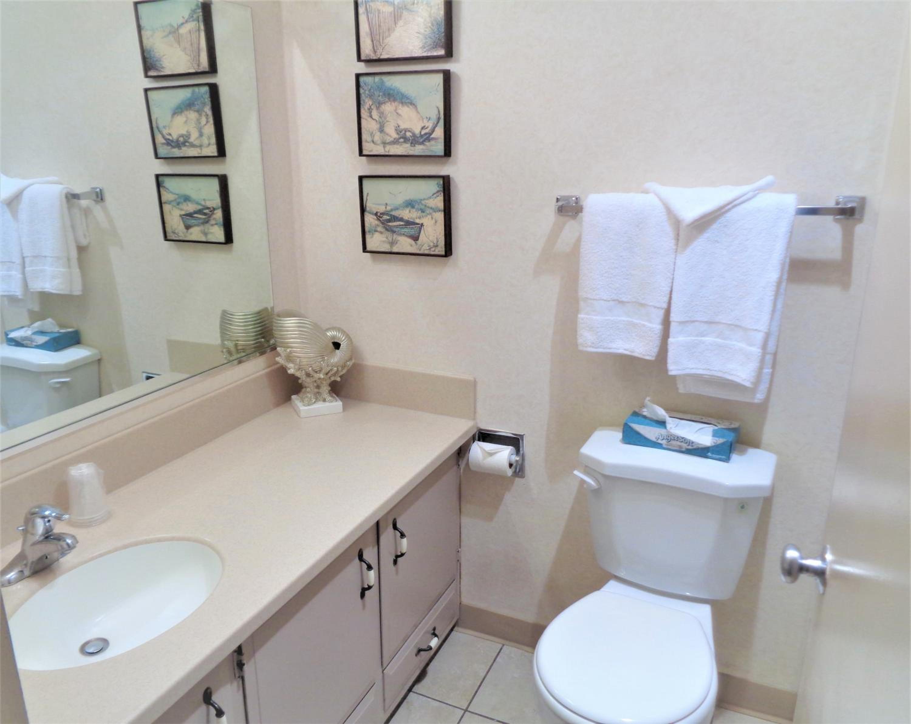 1 Bedroom, 1 King, View, Dog Friendly photo 2