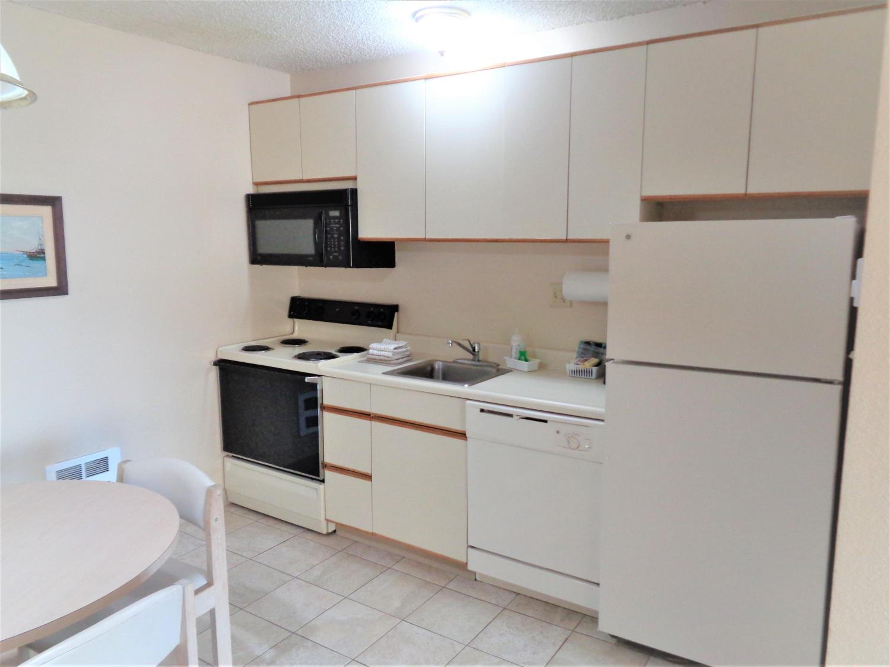 1 Bedroom, 1 King, View, Dog Friendly photo 3