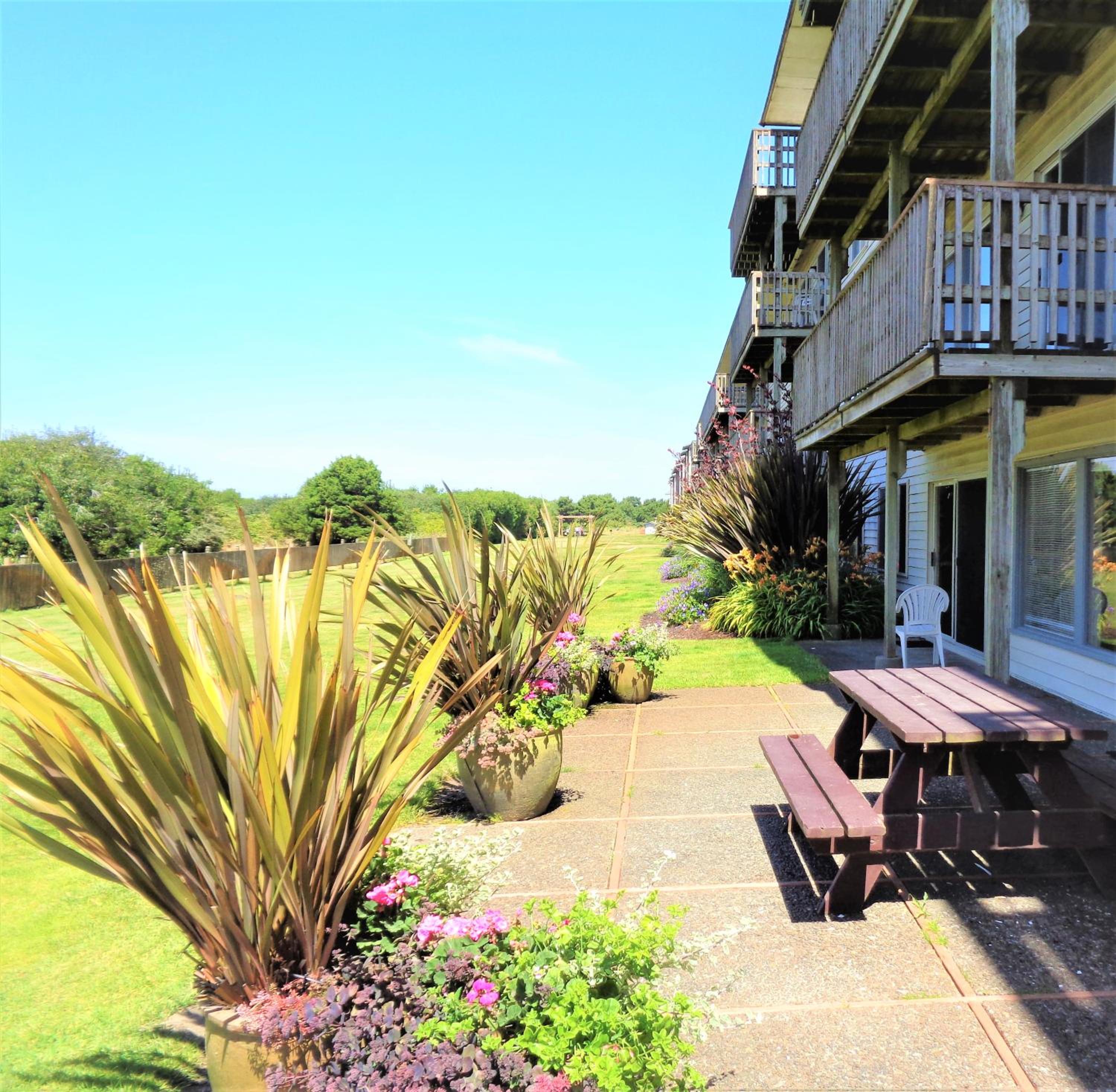 2 Bedroom, 3 Queens, Non-View, Dog Friendly photo 2