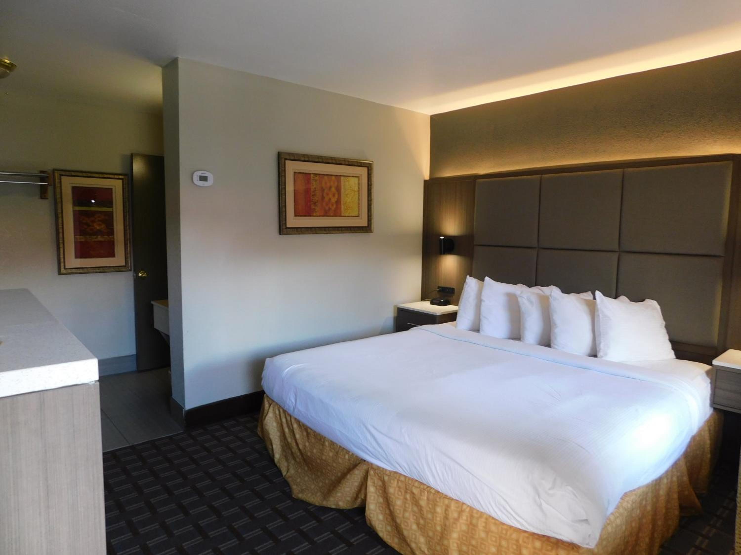 Standard Room, 1 King Bed, Non Smoking - Photo 1