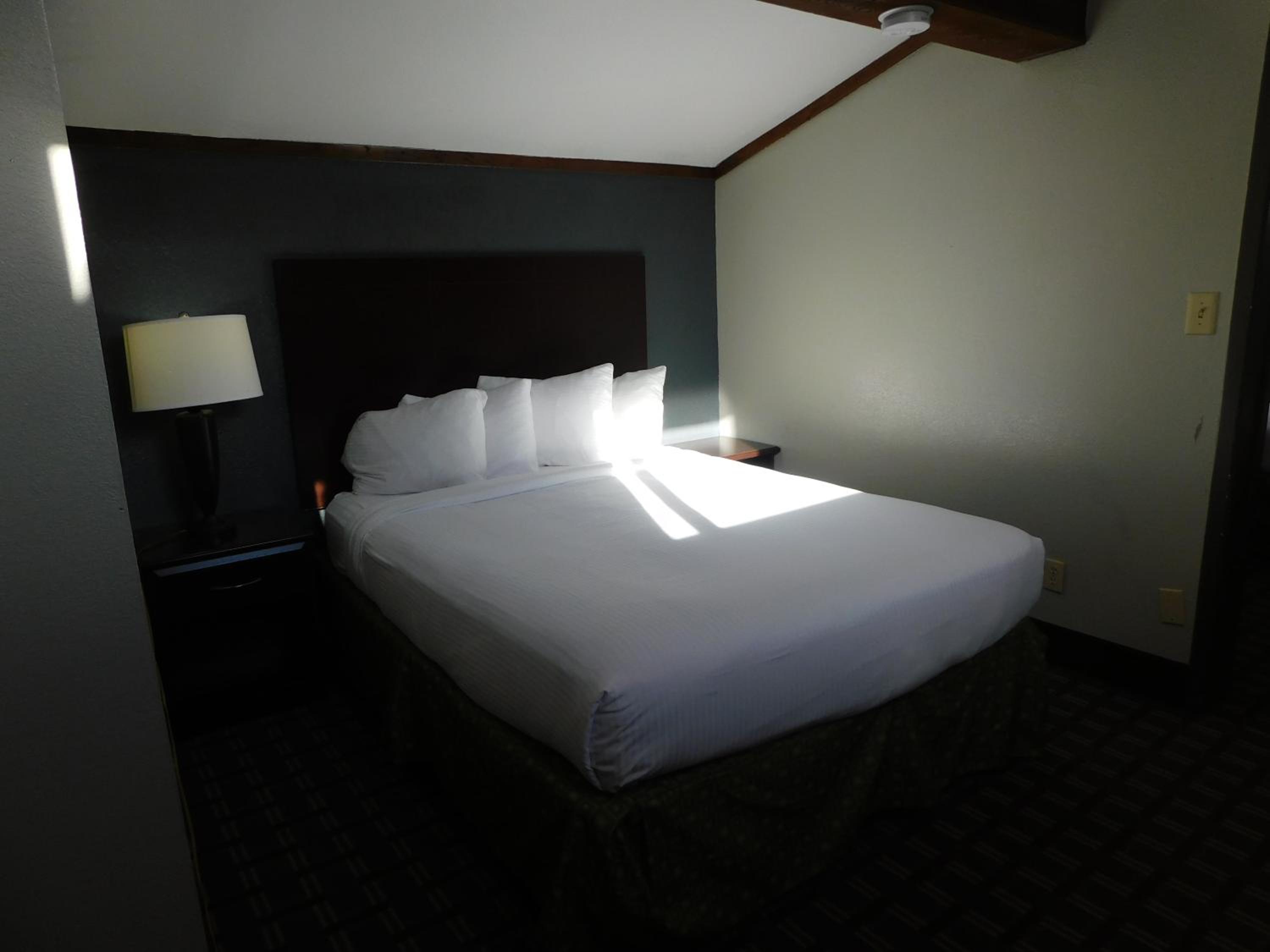 Triple Suite - Non-Smoking - Photo 3
