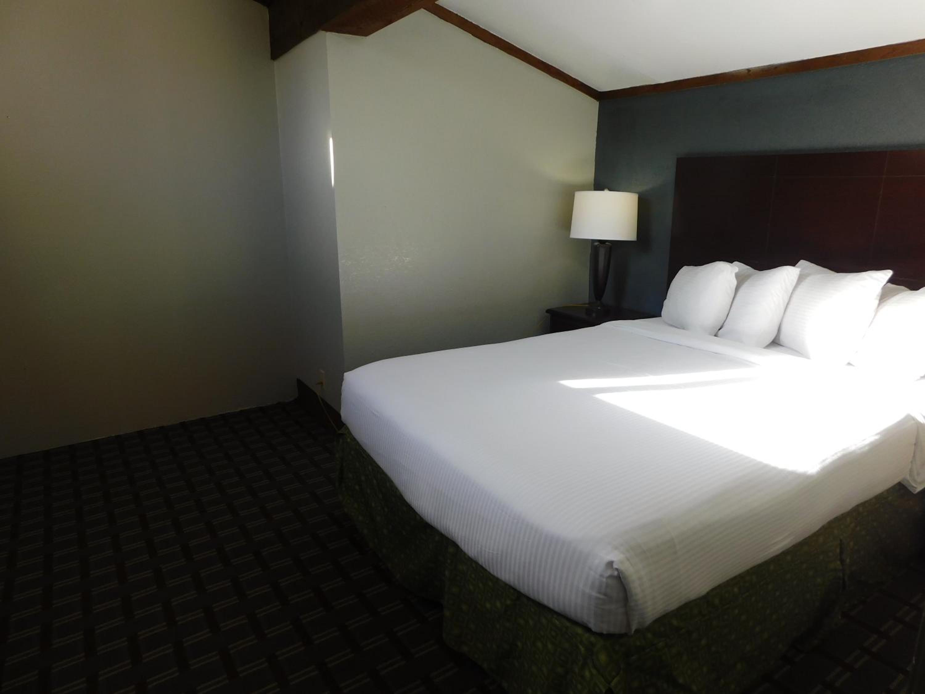 Triple Suite - Non-Smoking - Photo 4