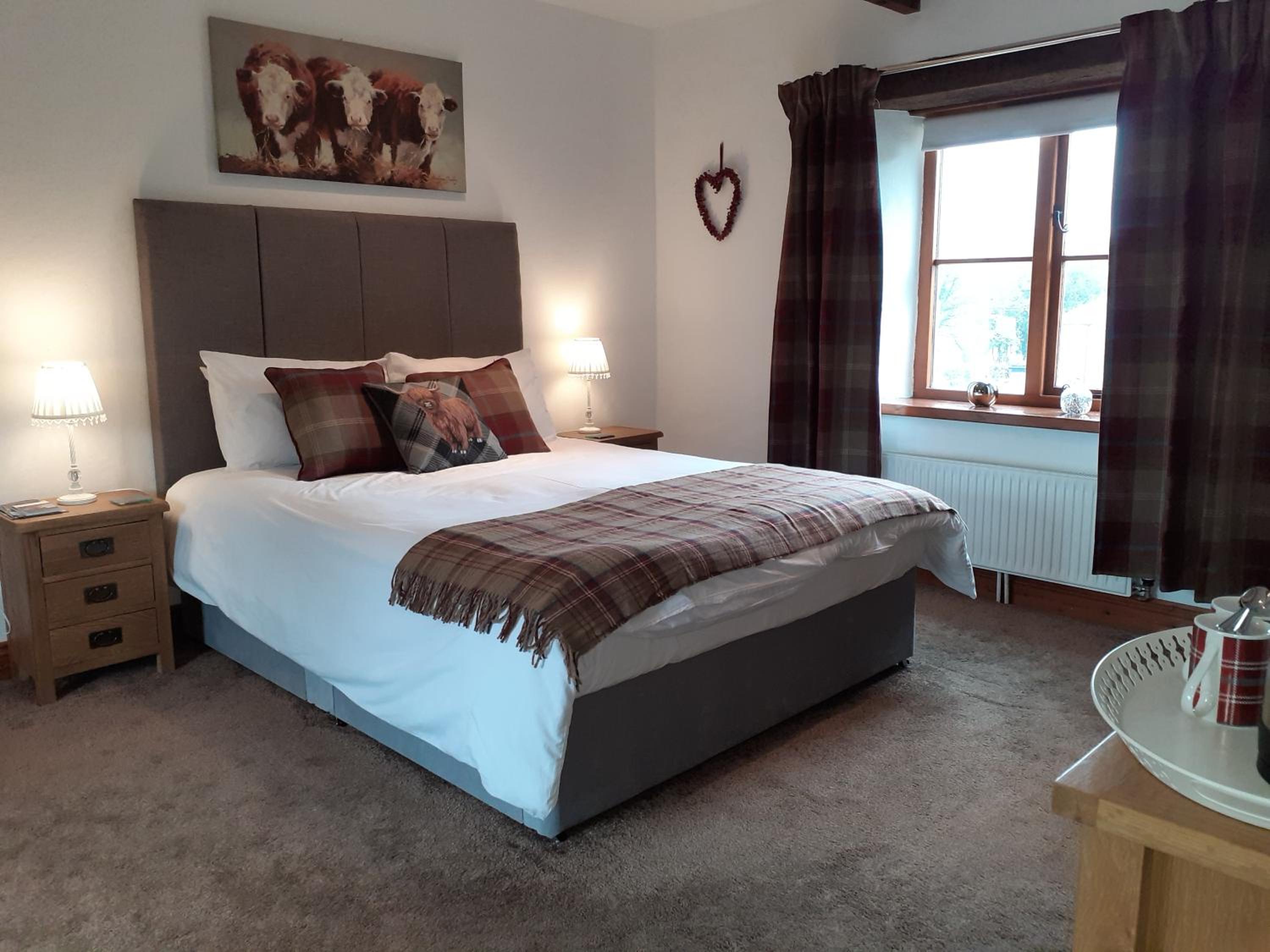 Superior King Suite photo 1