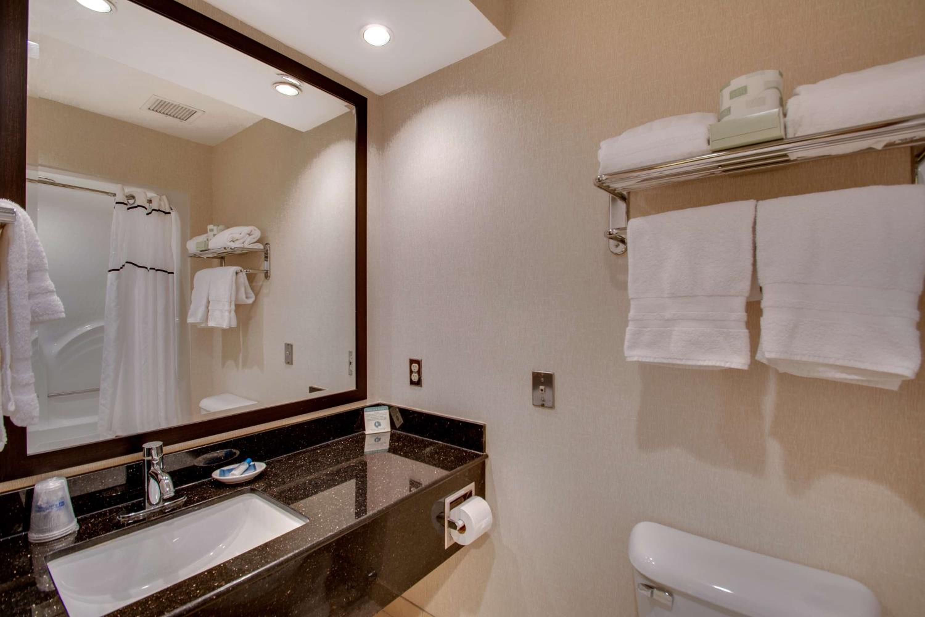 King Suite with Sofa Bed - Non-Smoking - Photo 3