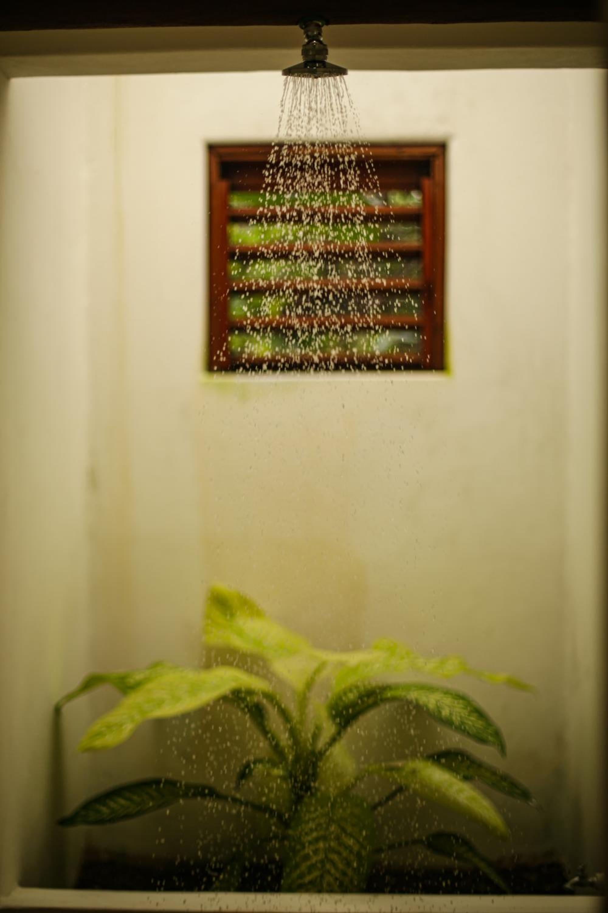 Deluxe Suite - Photo 13