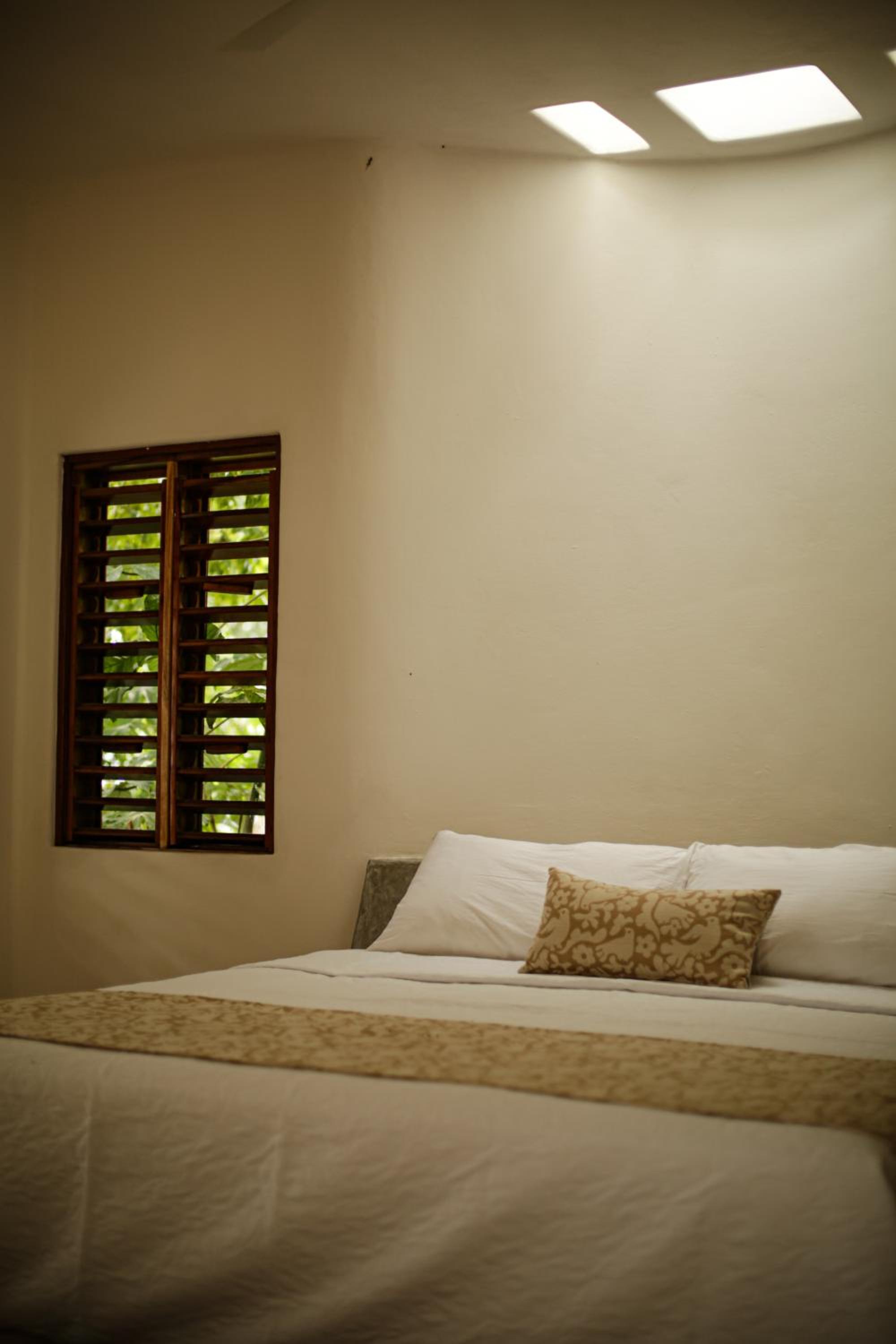 Deluxe Suite - Photo 18