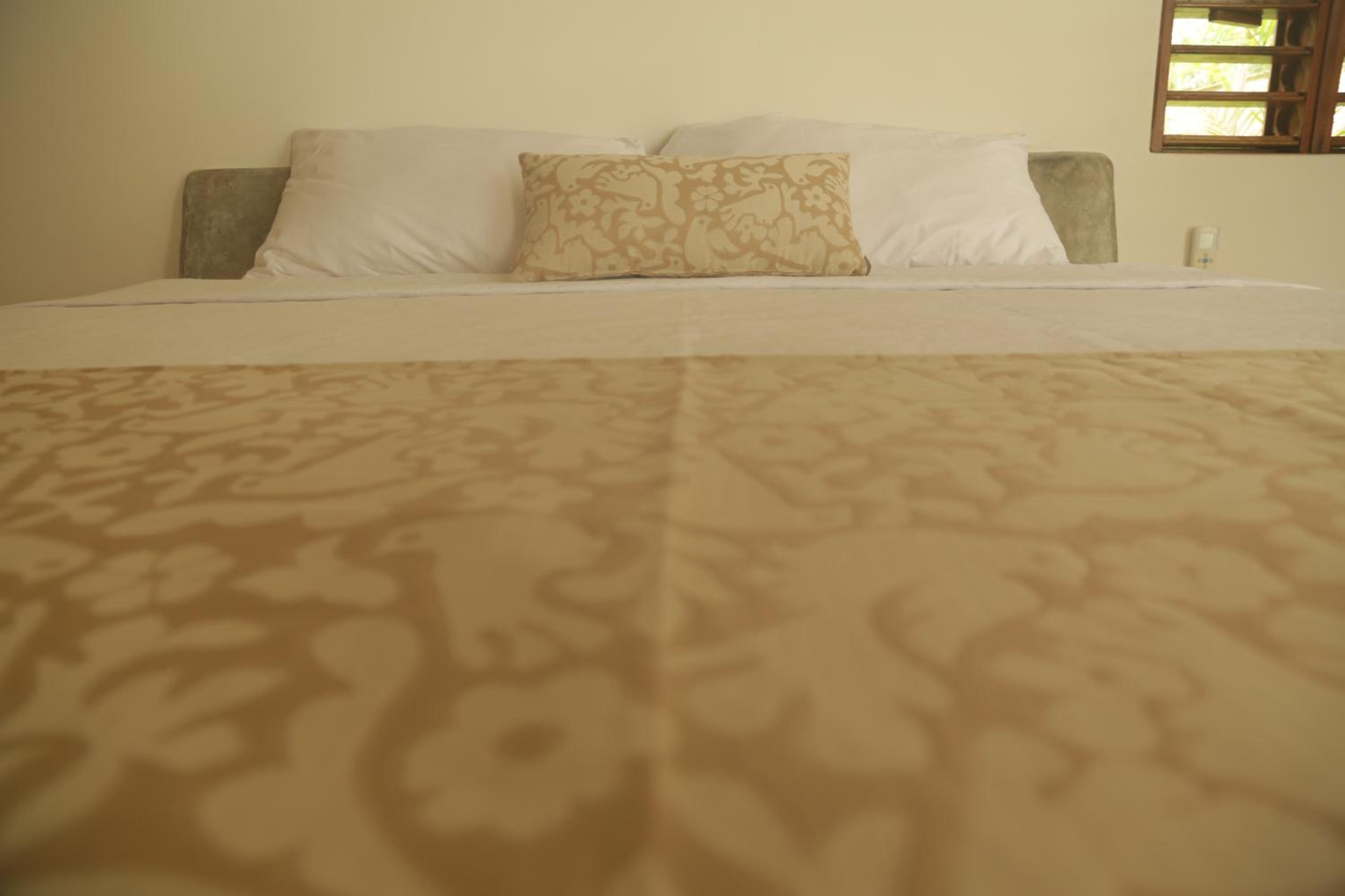 Deluxe Suite - Photo 19