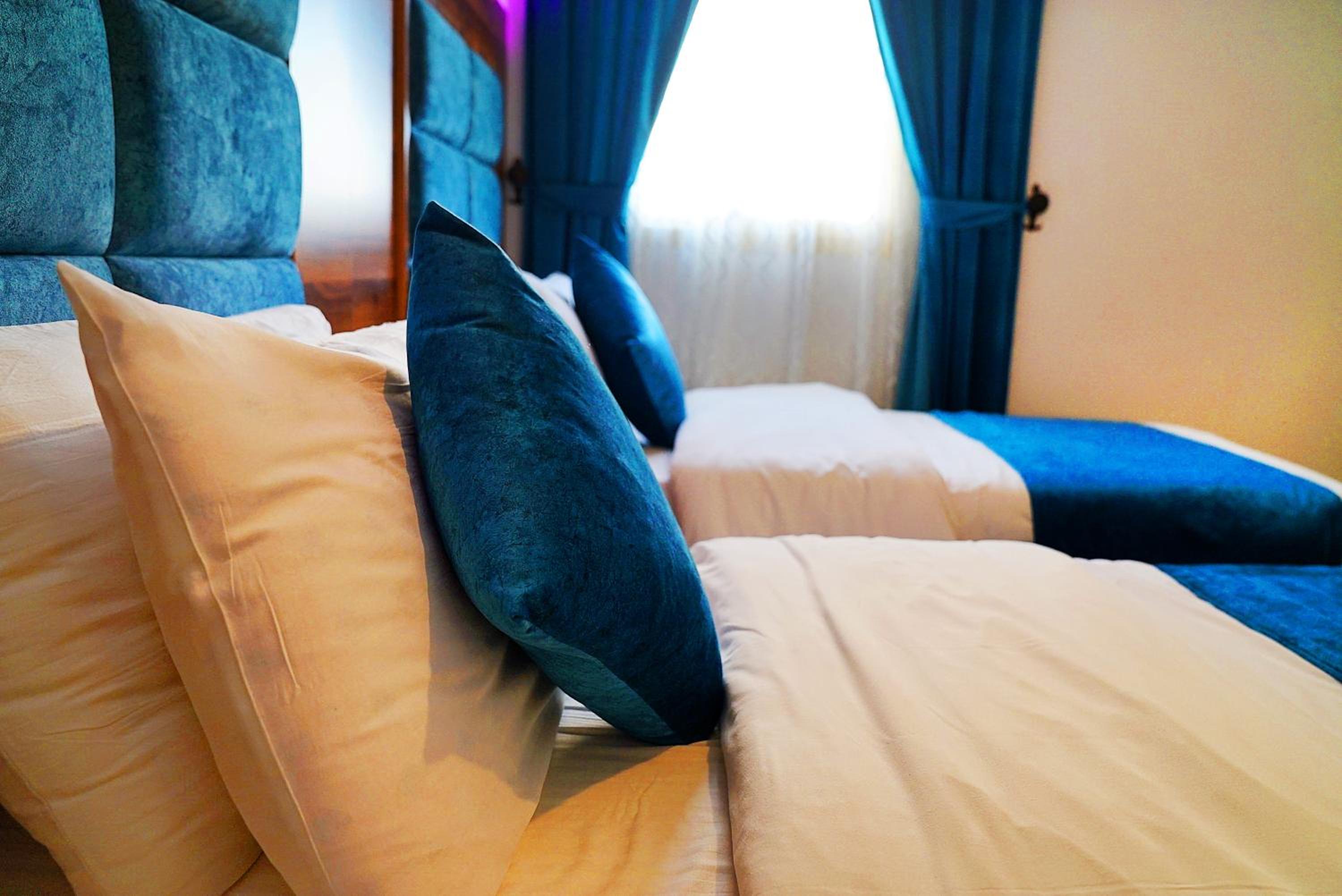 Deluxe Double or Twin Room photo 2