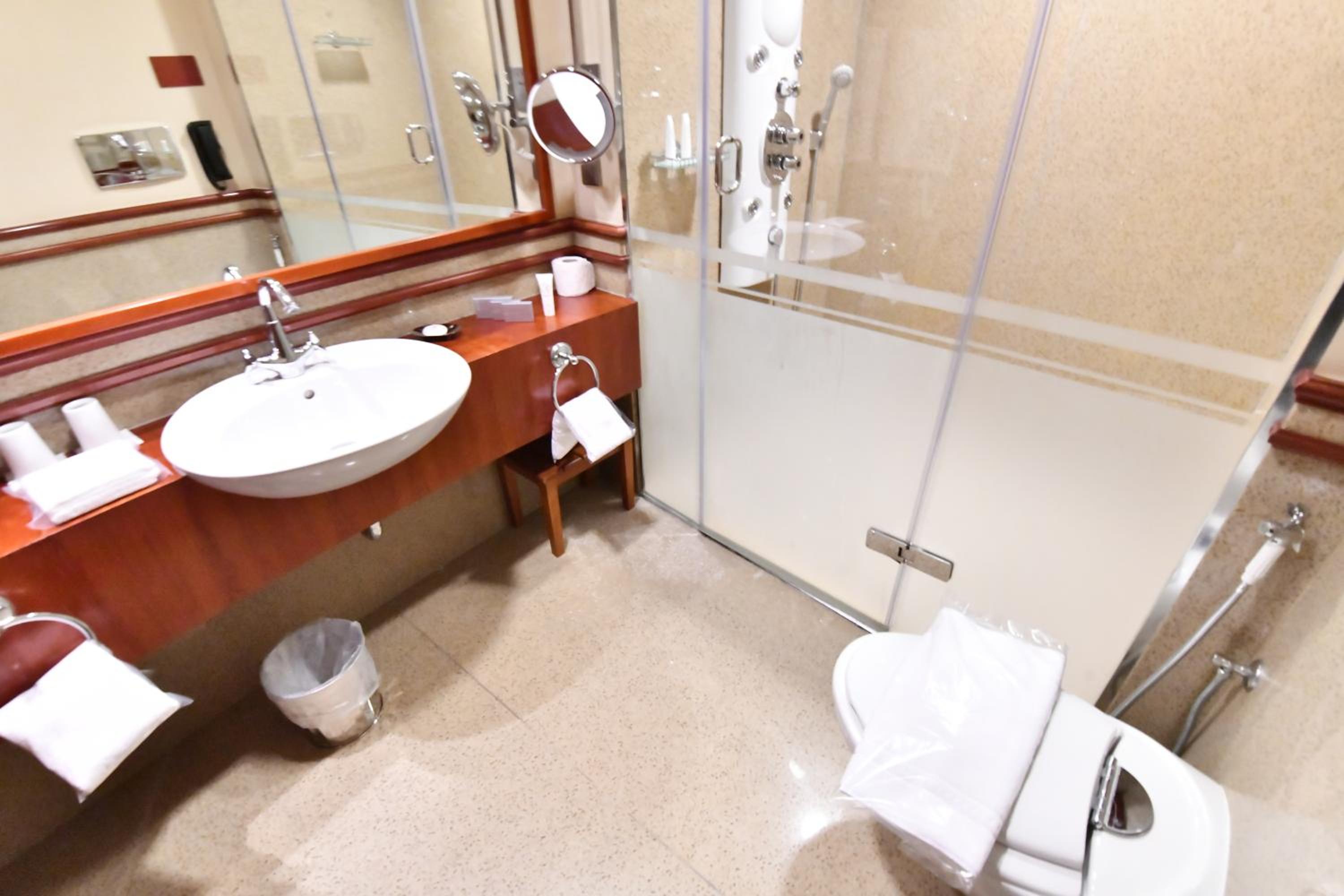 Superior with One Twin Bed and 2 Adults Occupancy (Non Smoking)