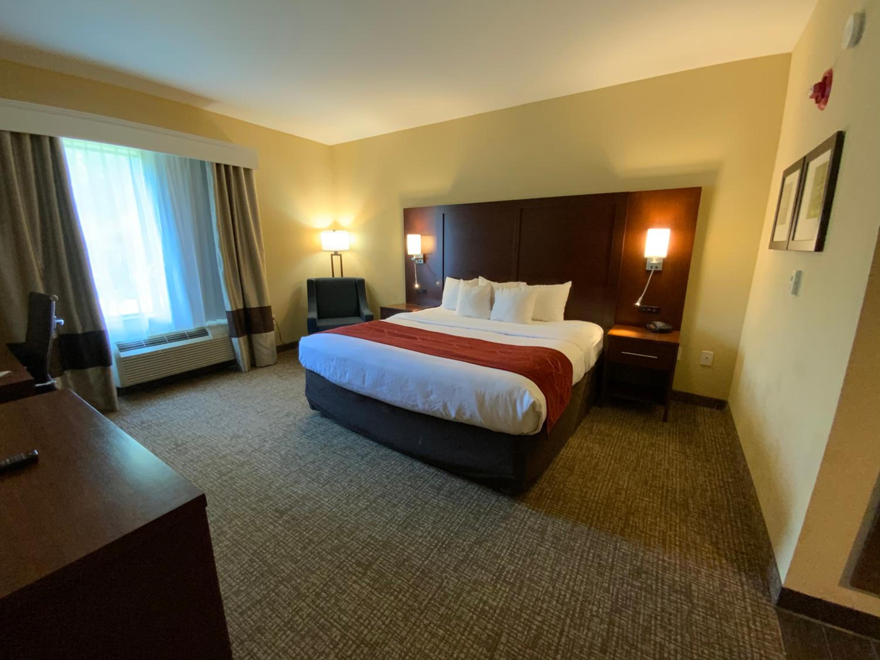 King Room with Roll-In Shower - Accessible/Non-Smoking - Photo 3