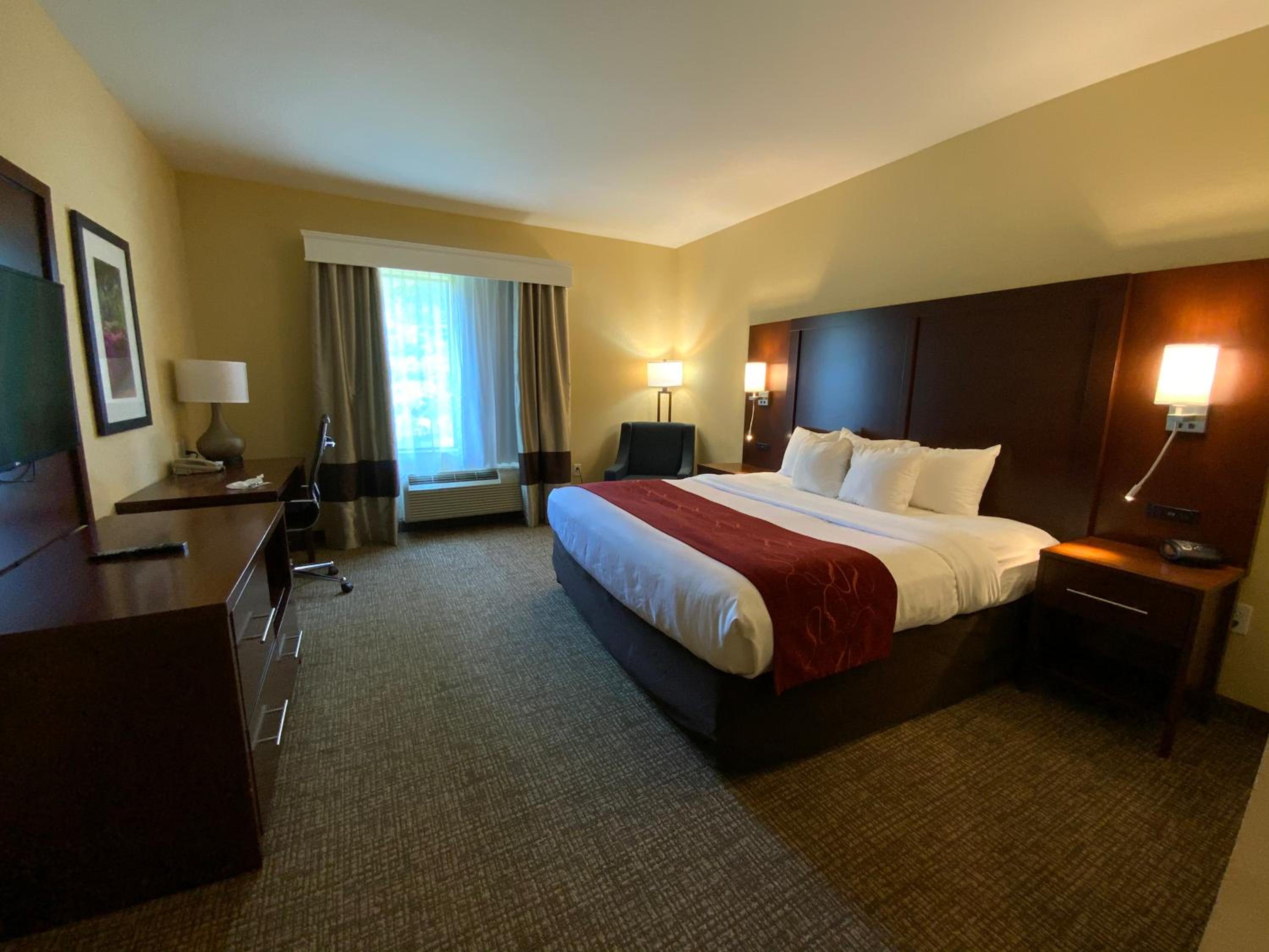 King Room with Roll-In Shower - Accessible/Non-Smoking - Photo 8