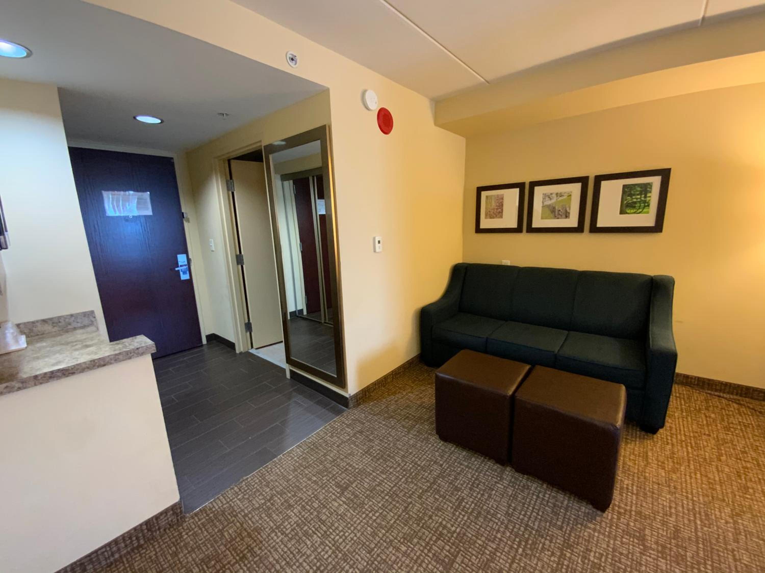 King Suite - Accessible/Non-Smoking - Photo 16
