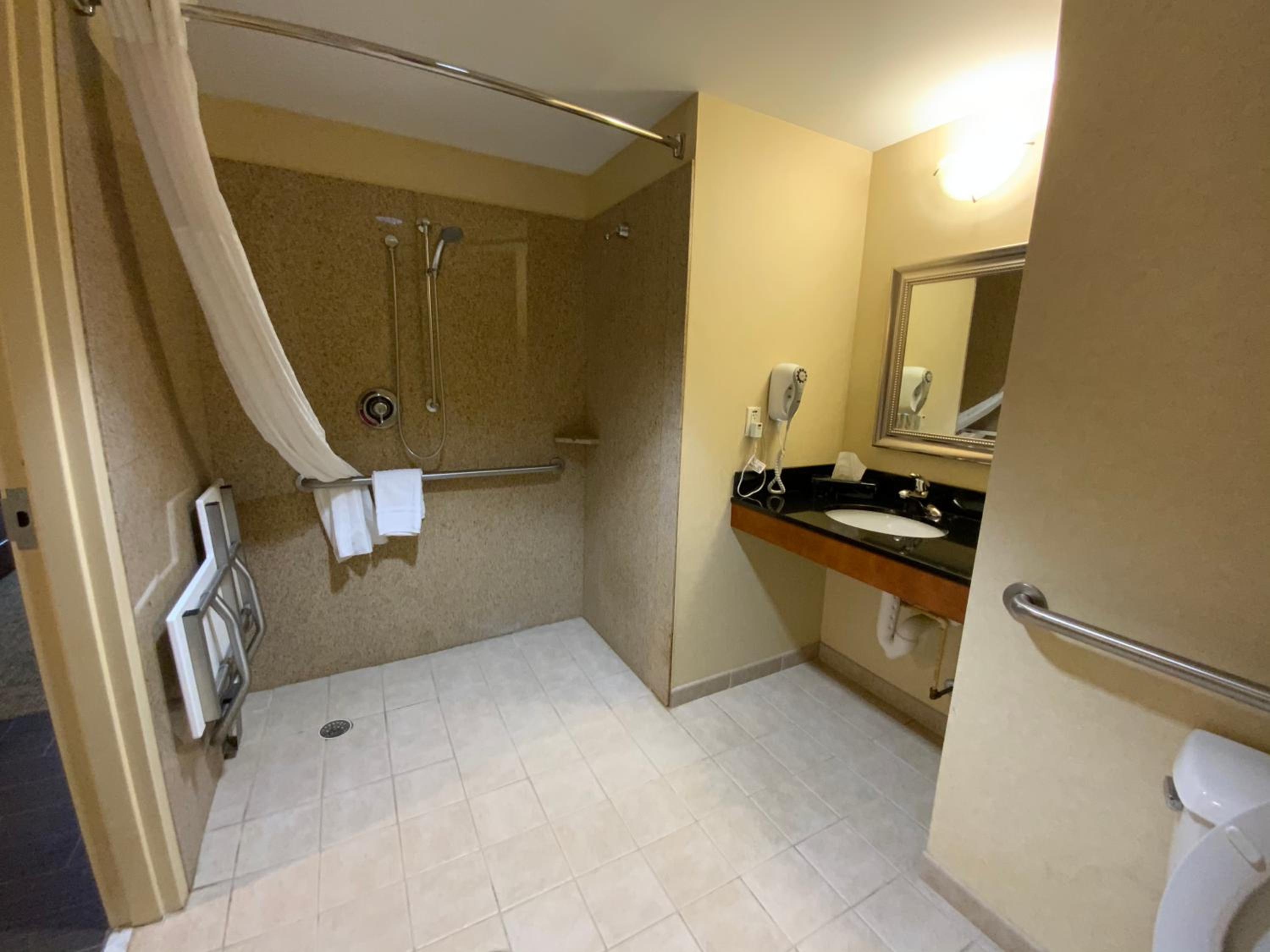 King Room with Roll-In Shower - Accessible/Non-Smoking - Photo 7