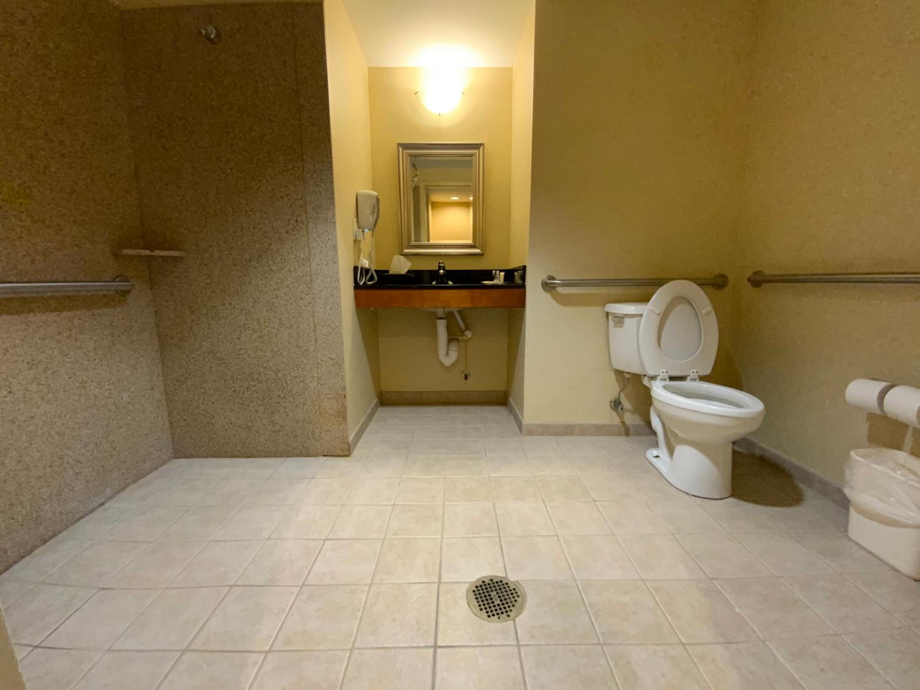King Room with Roll-In Shower - Accessible/Non-Smoking - Photo 11