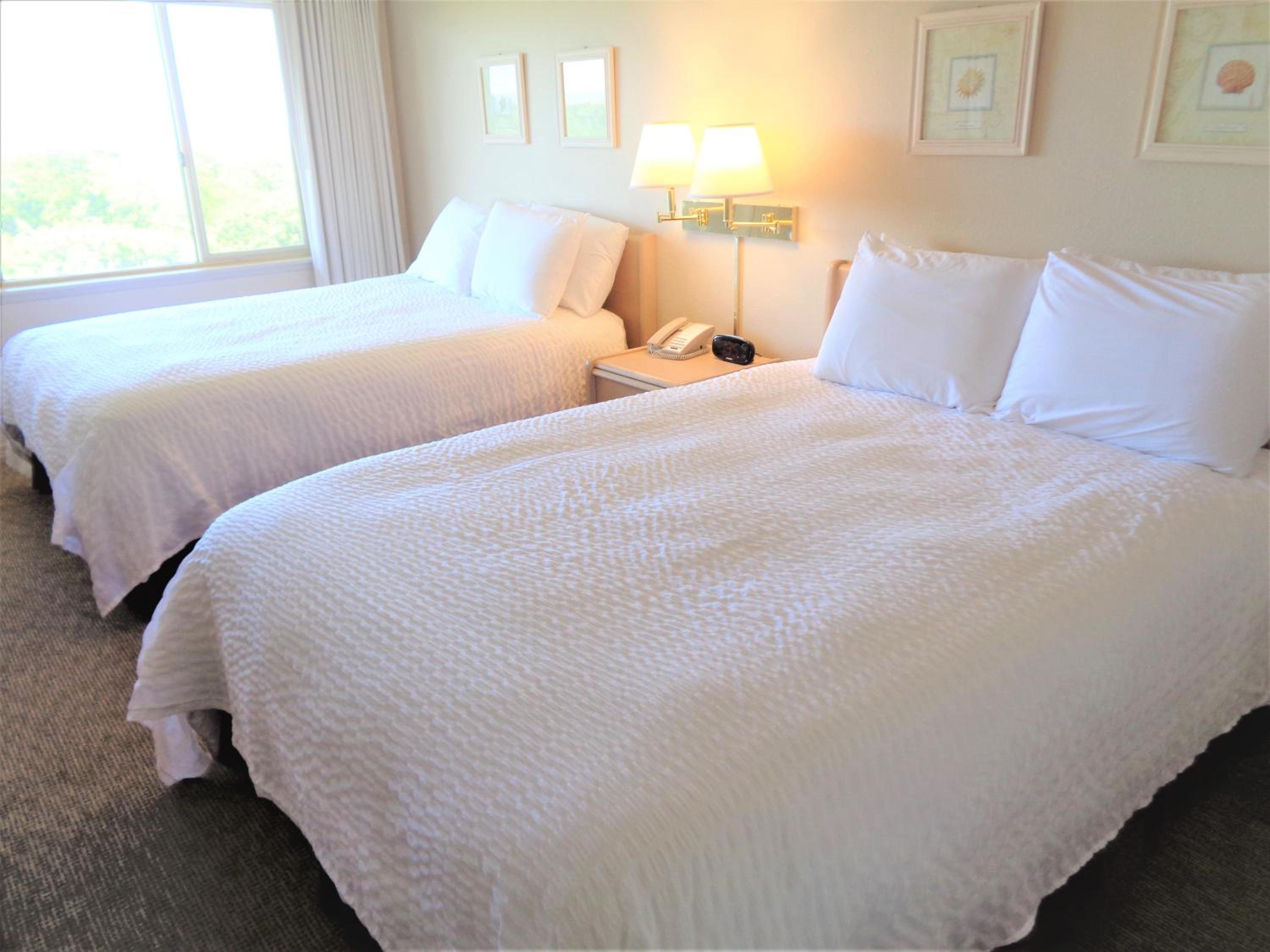 1 Bedroom, 2 Queens, Non-View, Dog Friendly