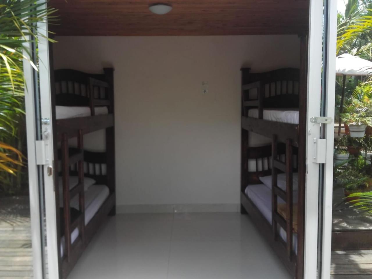 Bunk Bed in Mixed Dormitory Room photo 2