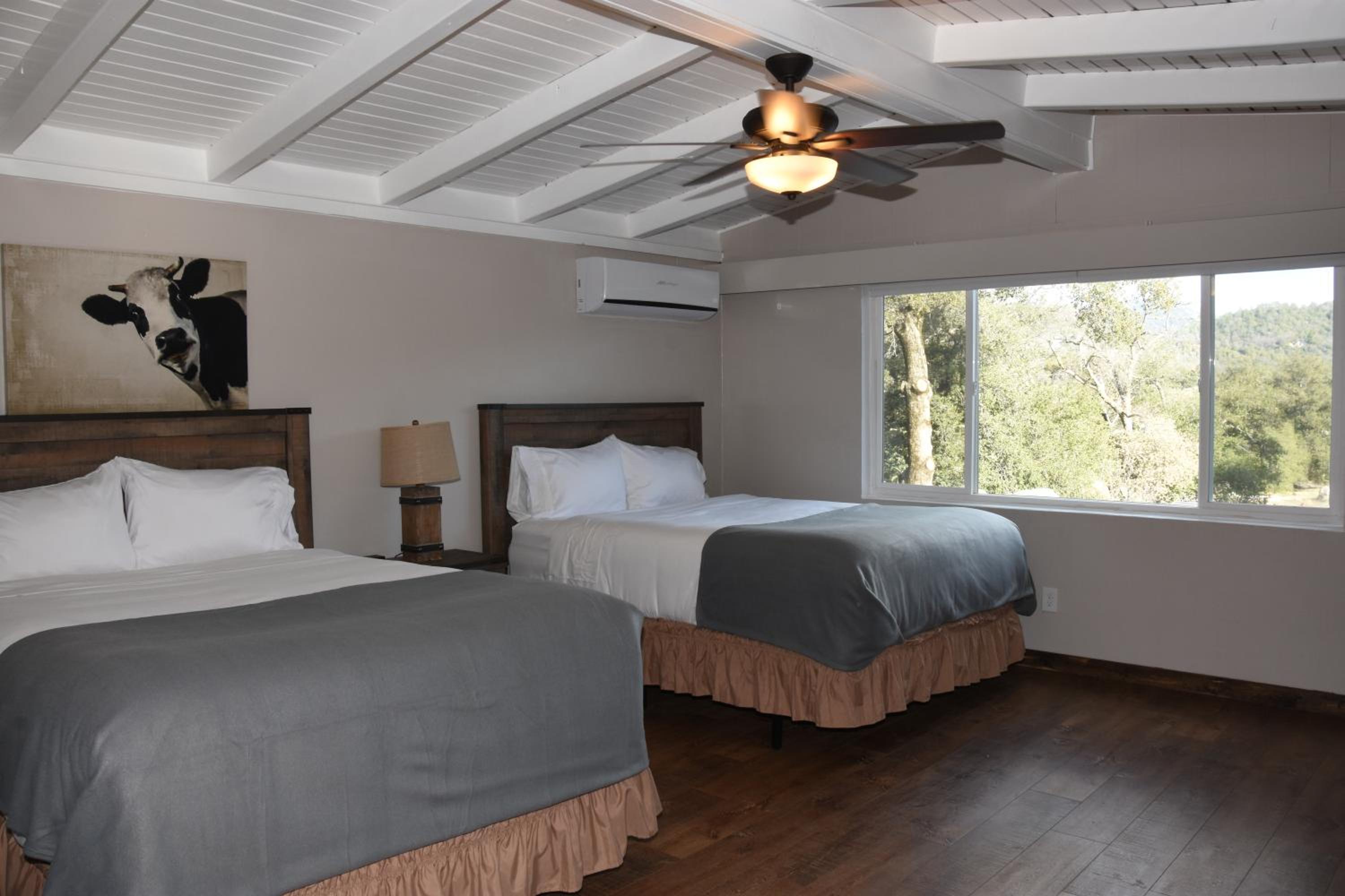 Deluxe Double Room photo 2