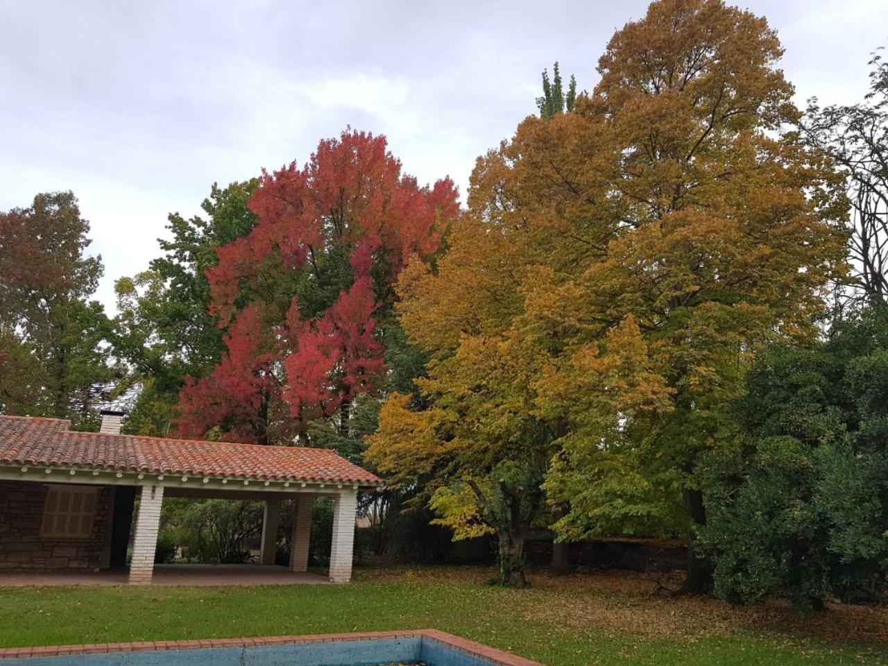 Villa photo 2