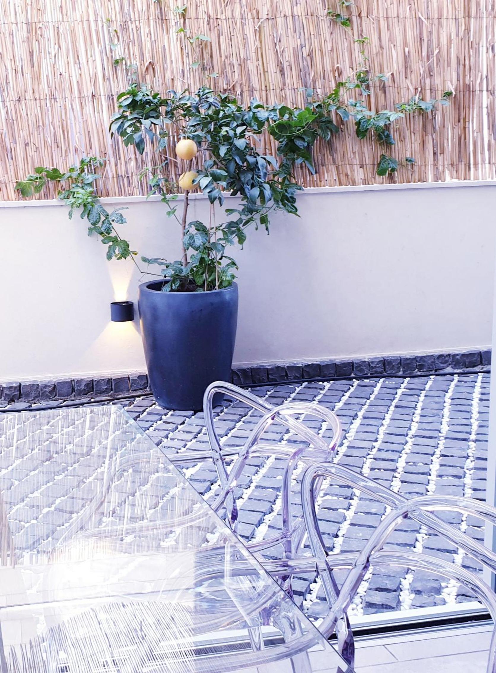 Apartment with Sea View - Photo 10