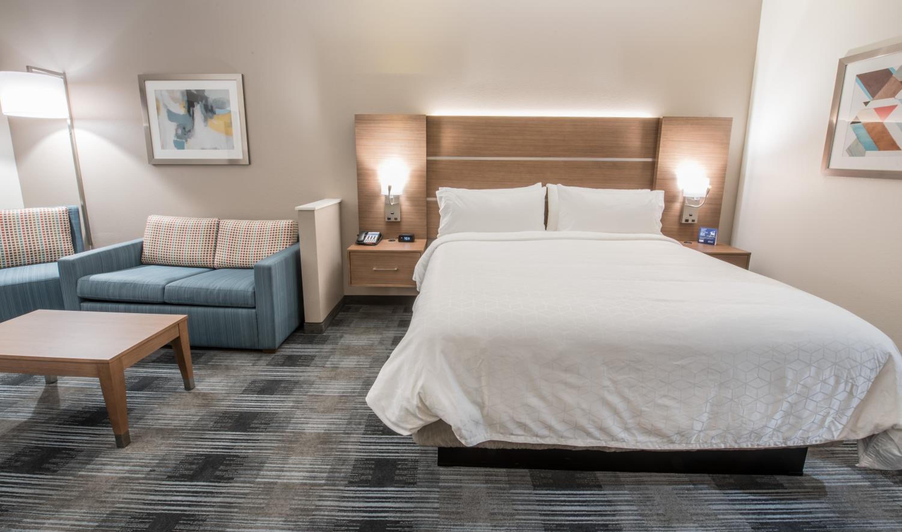 Communications Accessible King Room with Roll-In Shower and Sofa Bed photo 3