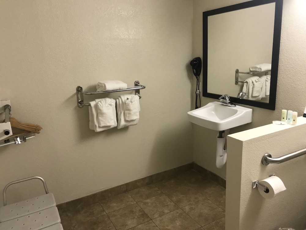 Standard Room, 1 King Bed, Accessible, Non Smoking (Roll-In Shower) - Photo 8
