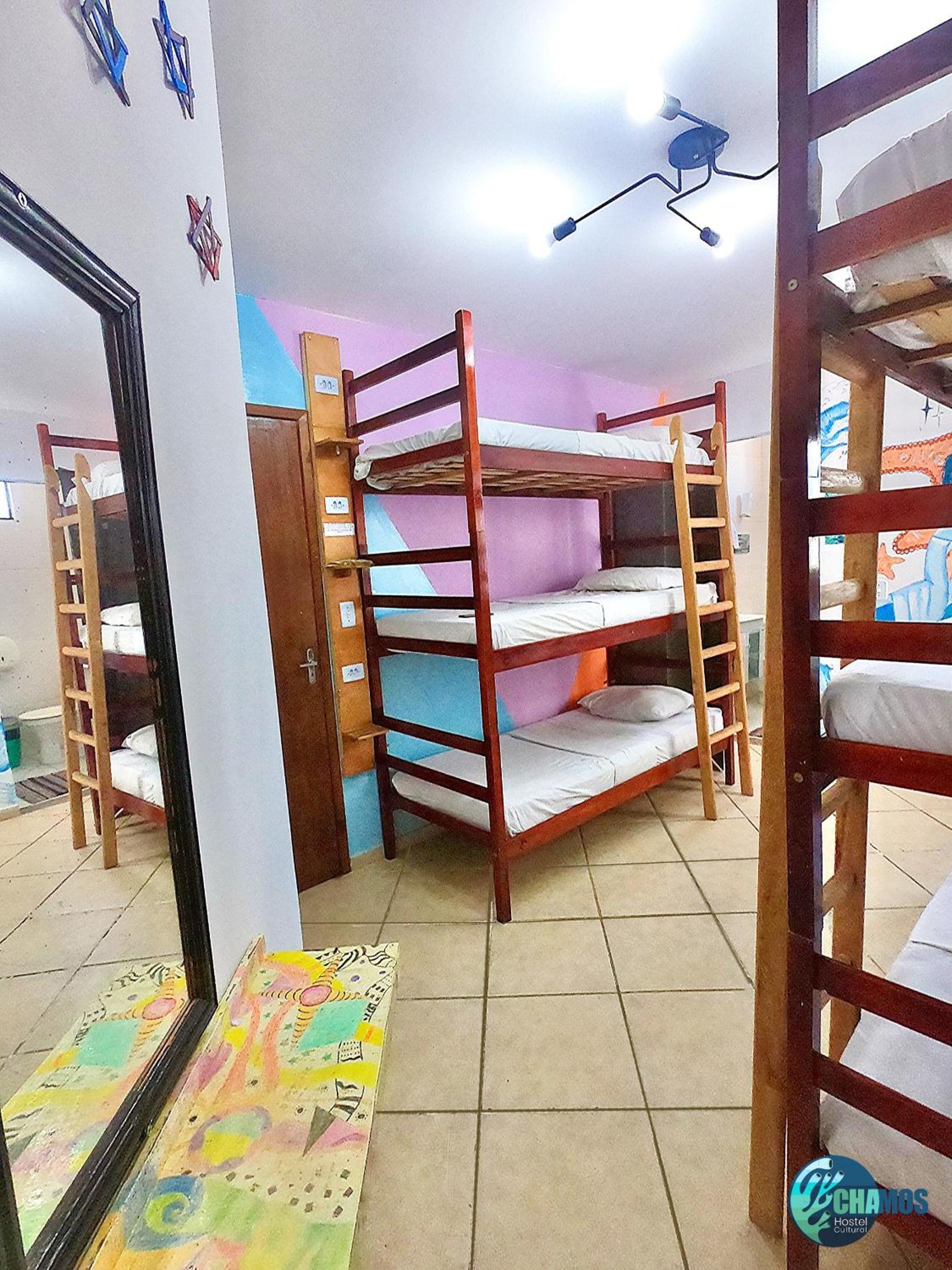 Bed in 6-Bed Female Dormitory Room photo 1