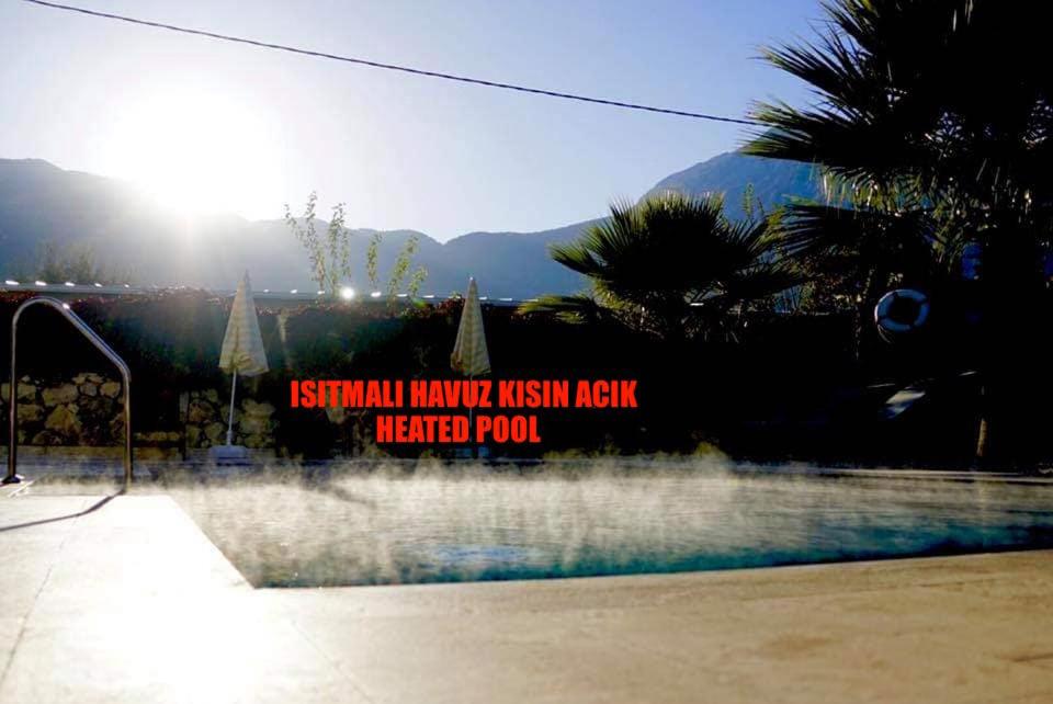 Villa With Private Pool photo 3