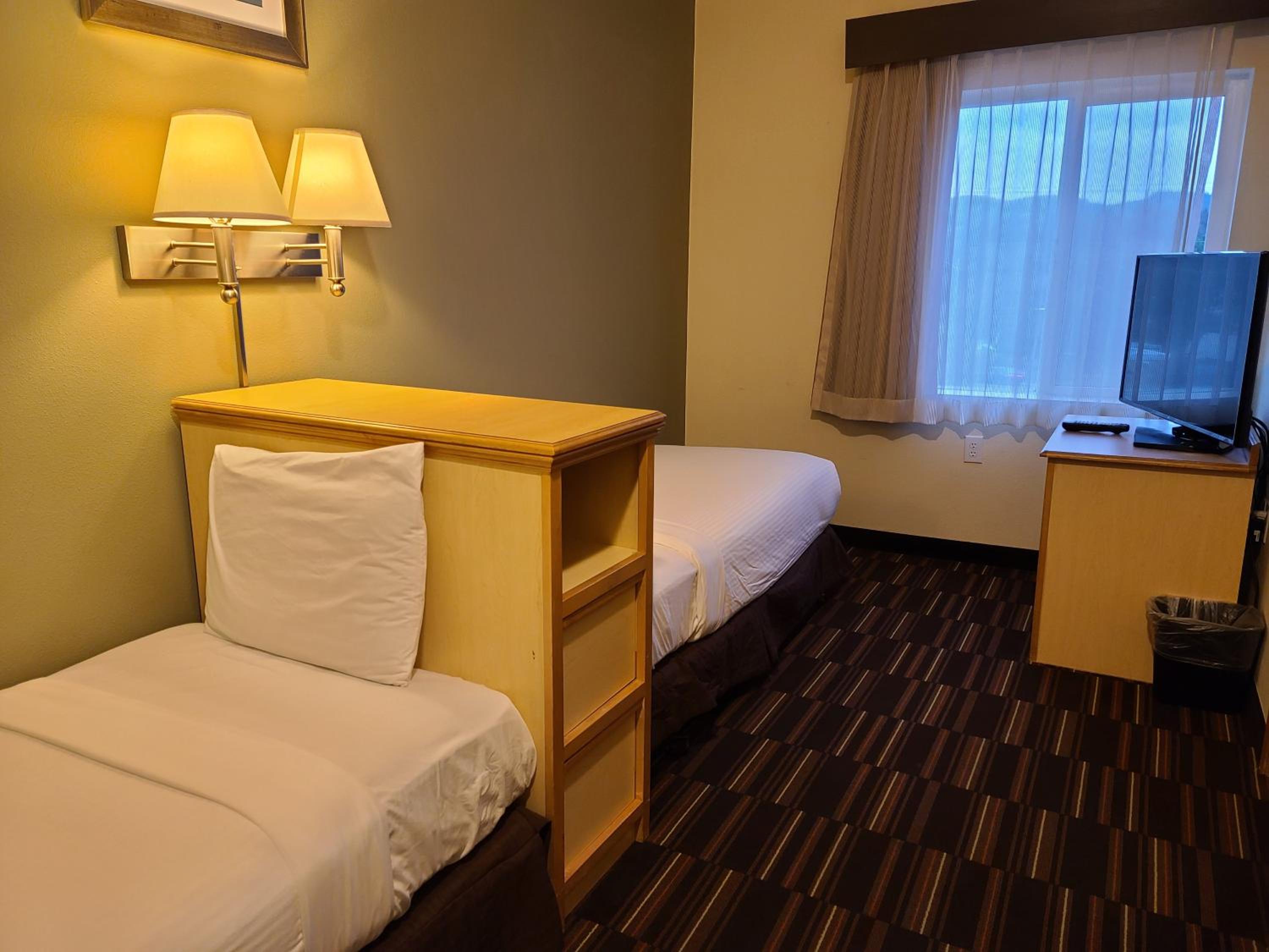 Family Suite photo 1