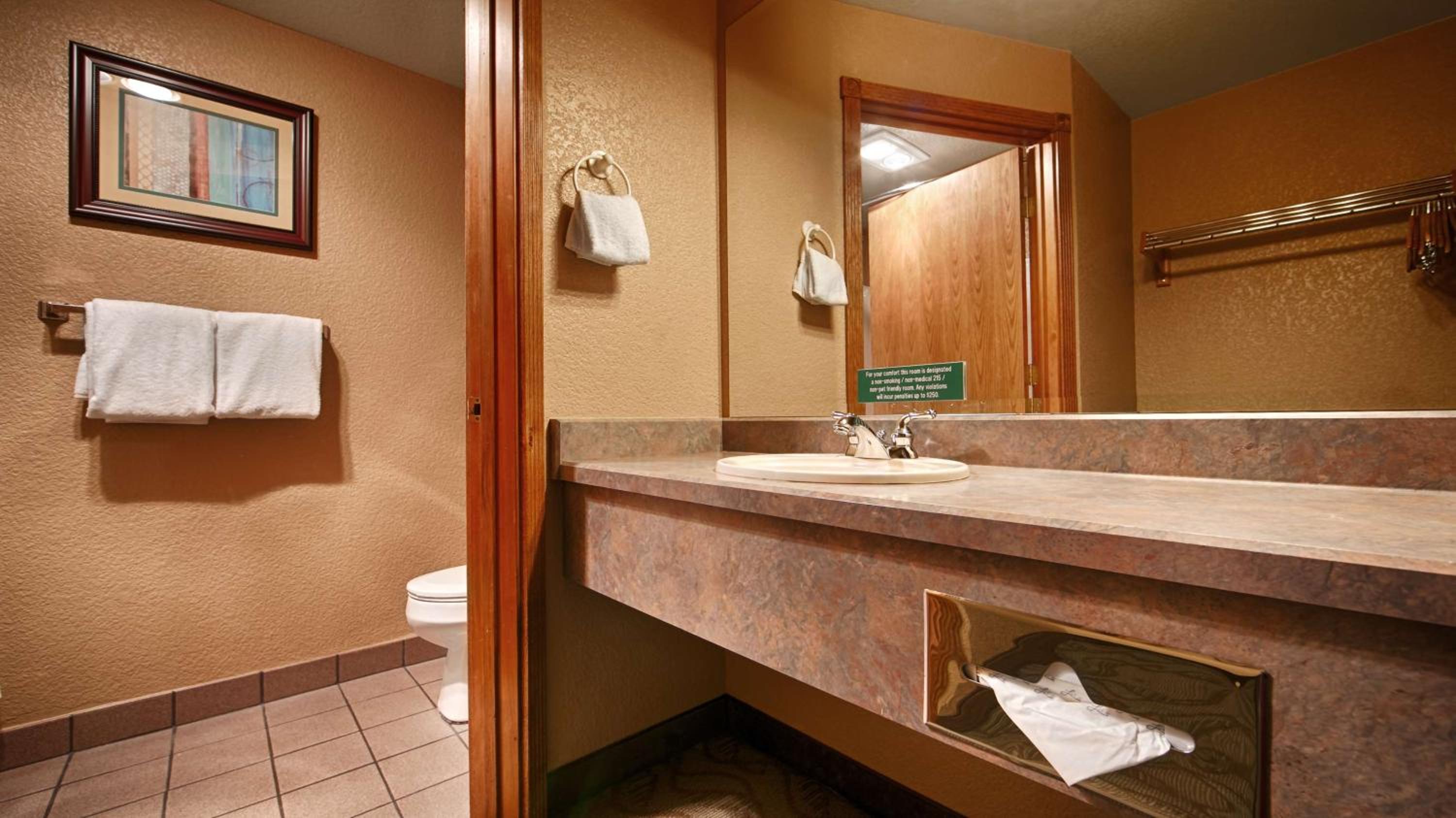 One-Bedroom Suite - Non-Smoking photo 2