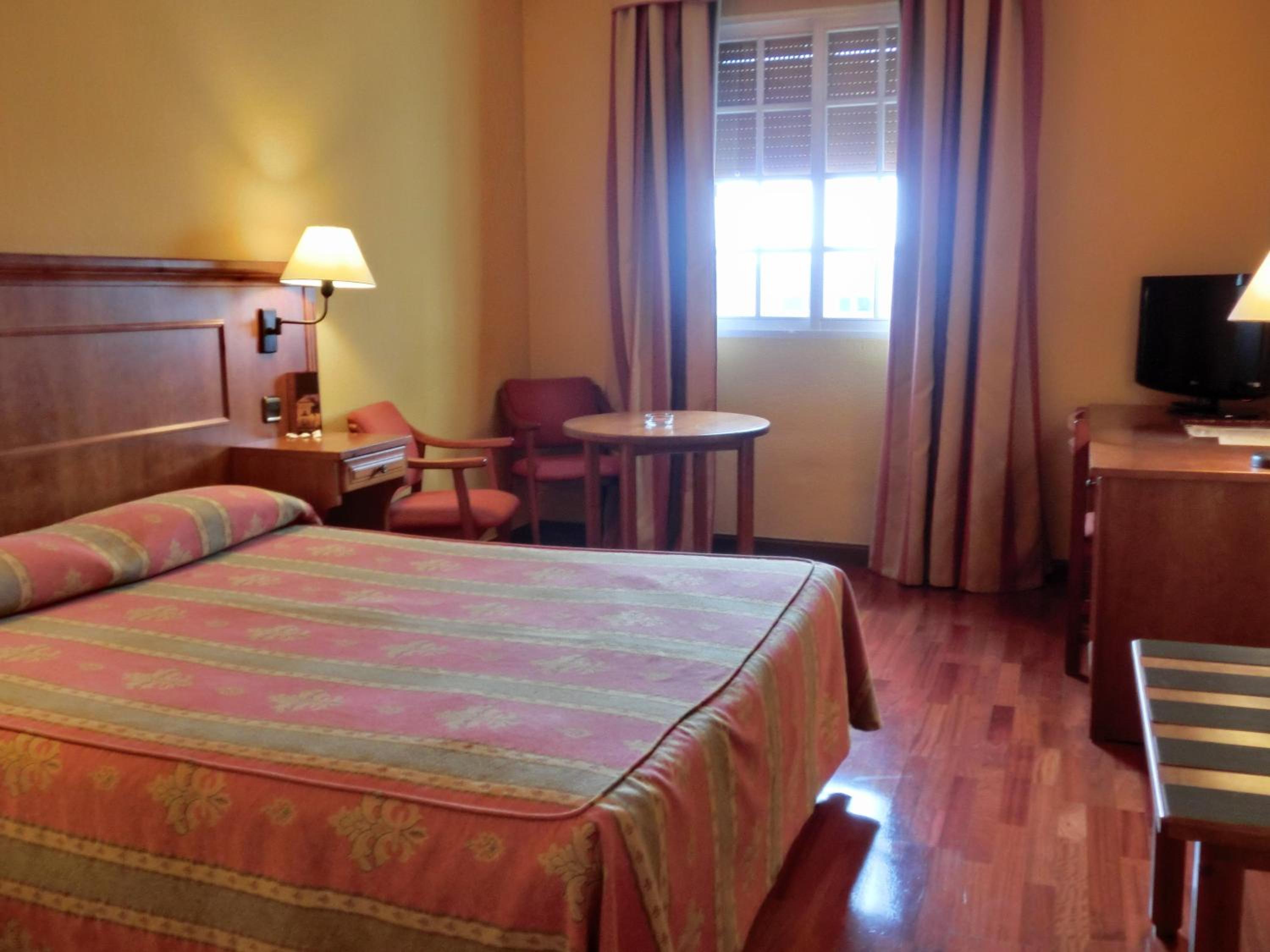 Large Single Room photo 3
