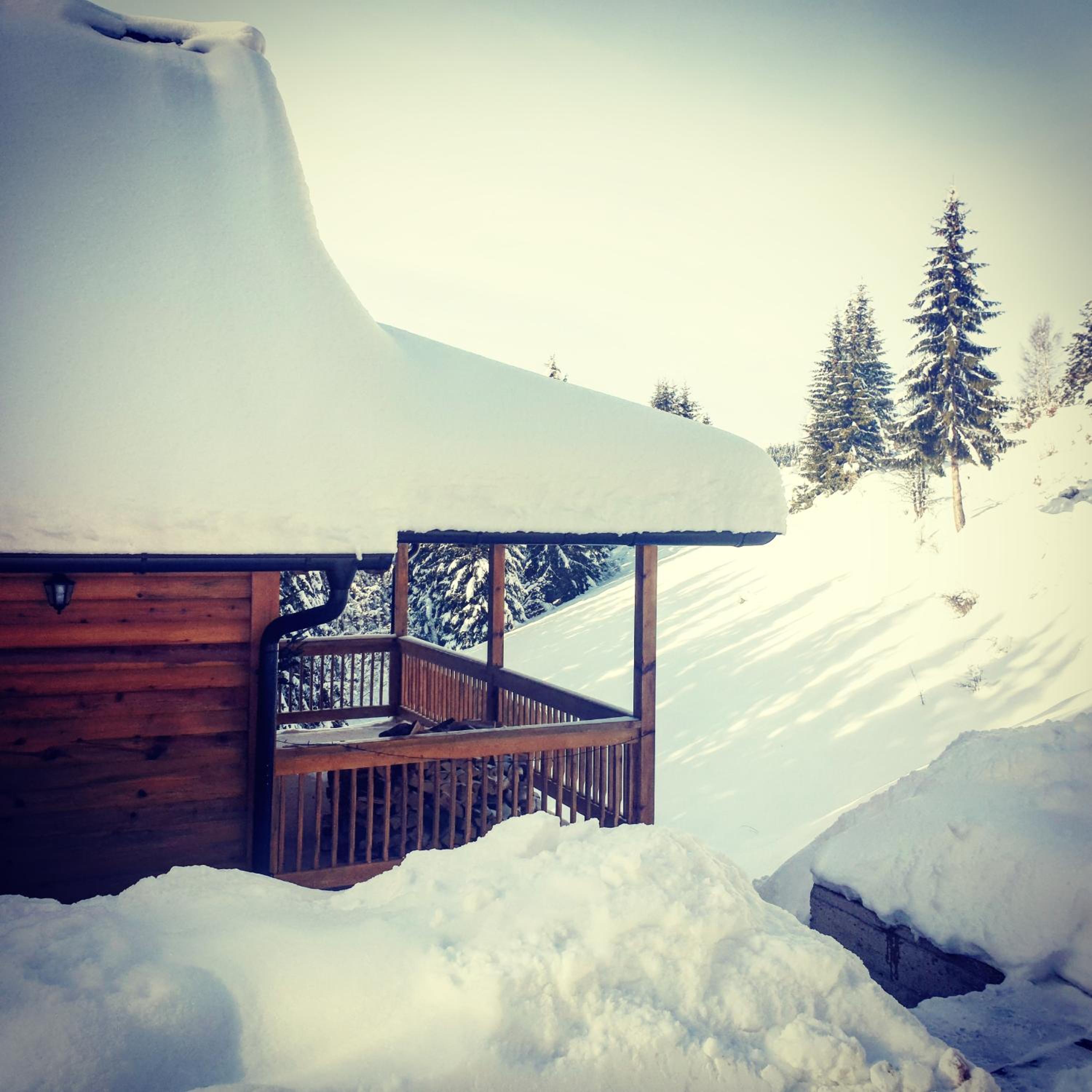 Two-Bedroom Chalet photo 2