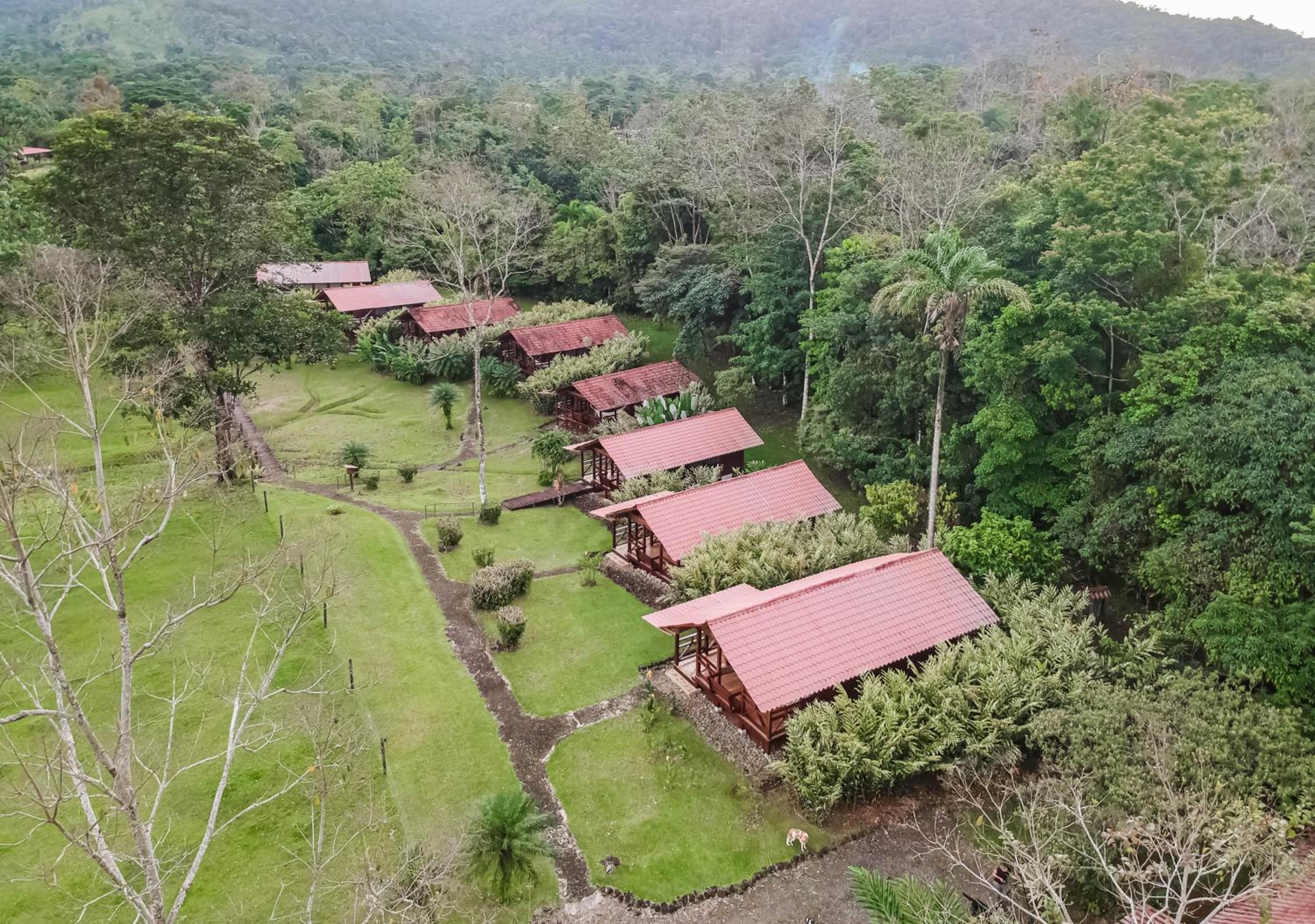 Bungalow photo 2