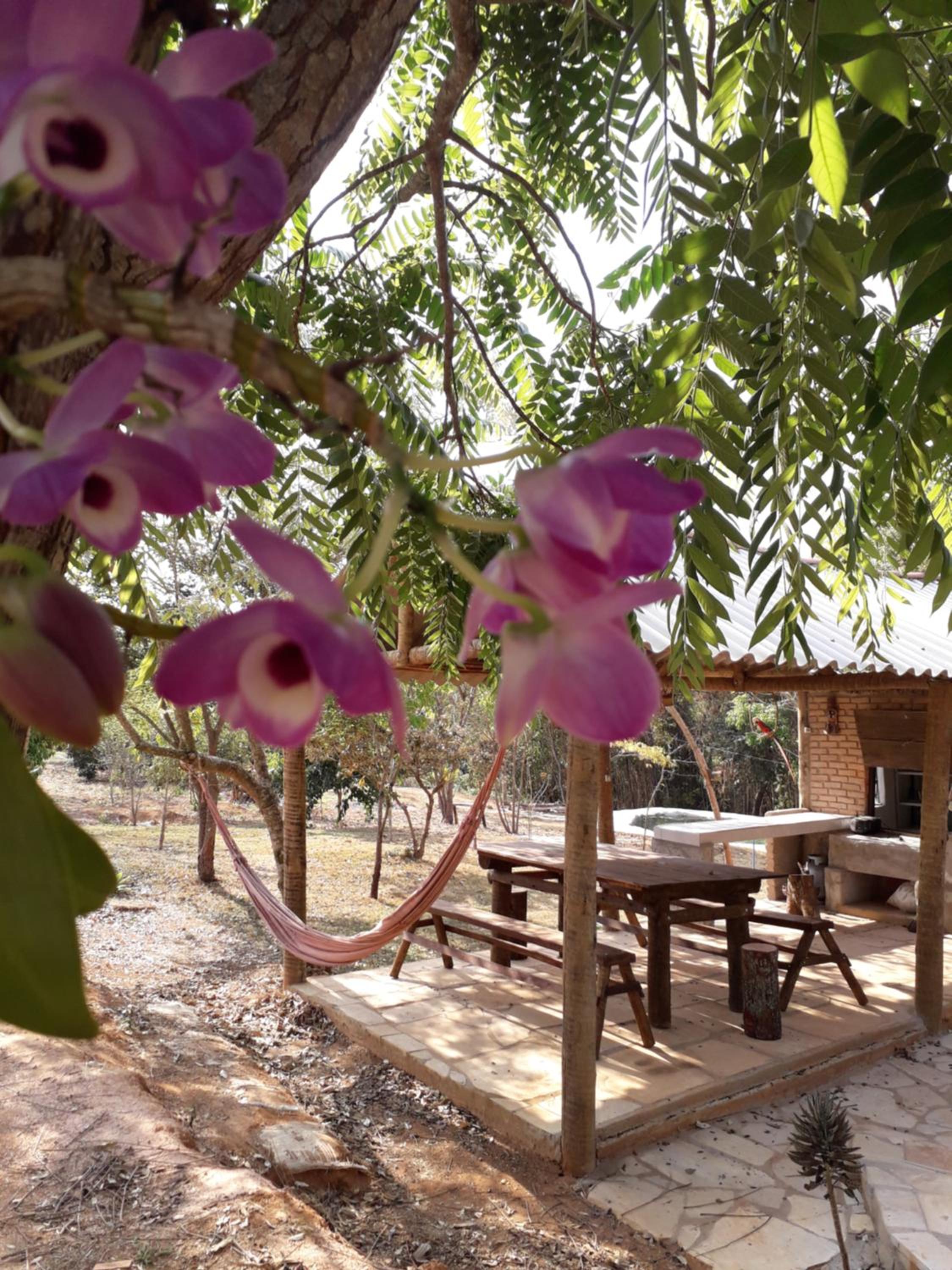 Chalet photo 3