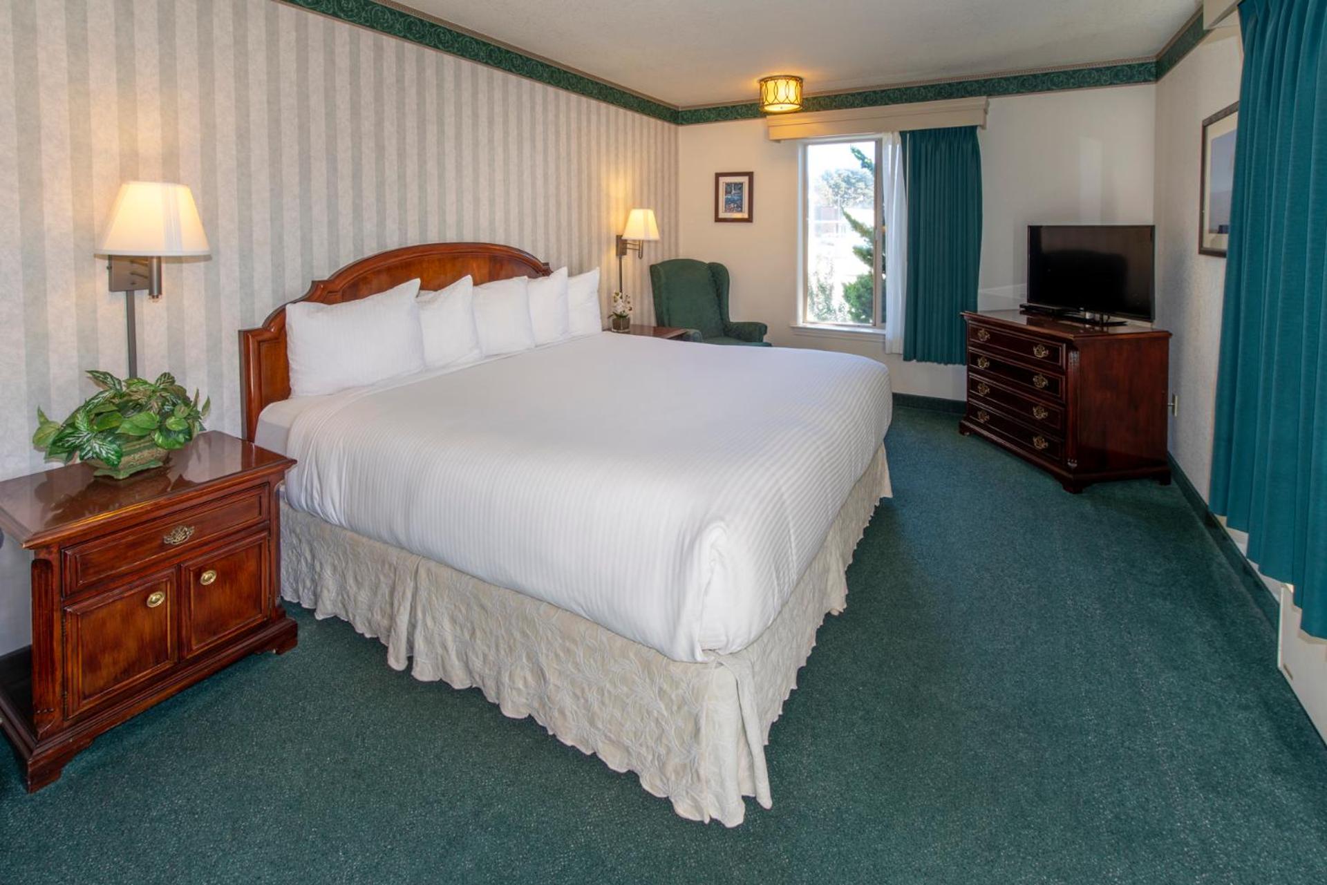 King Room (No Pets)