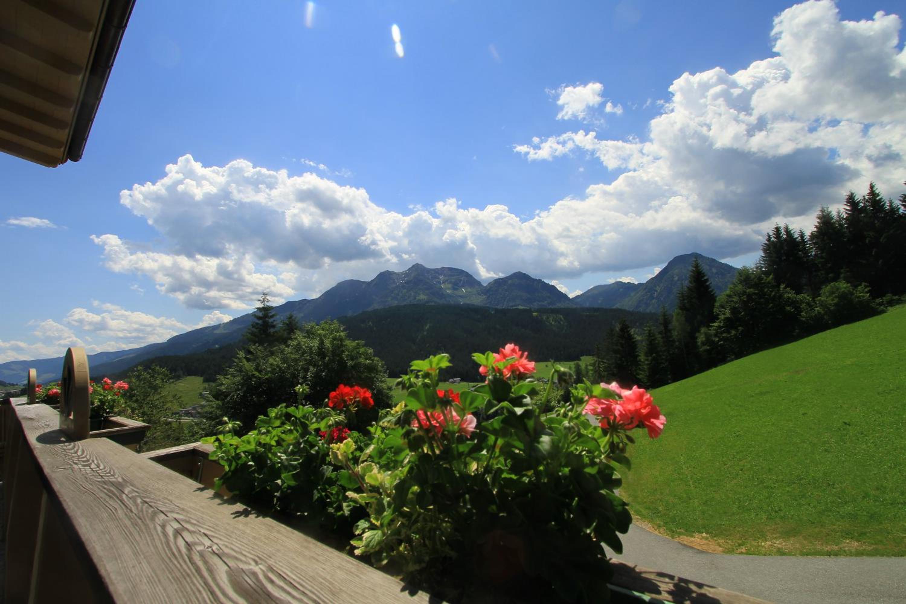 Comfort One-Bedroom Apartment with Balcony photo 2