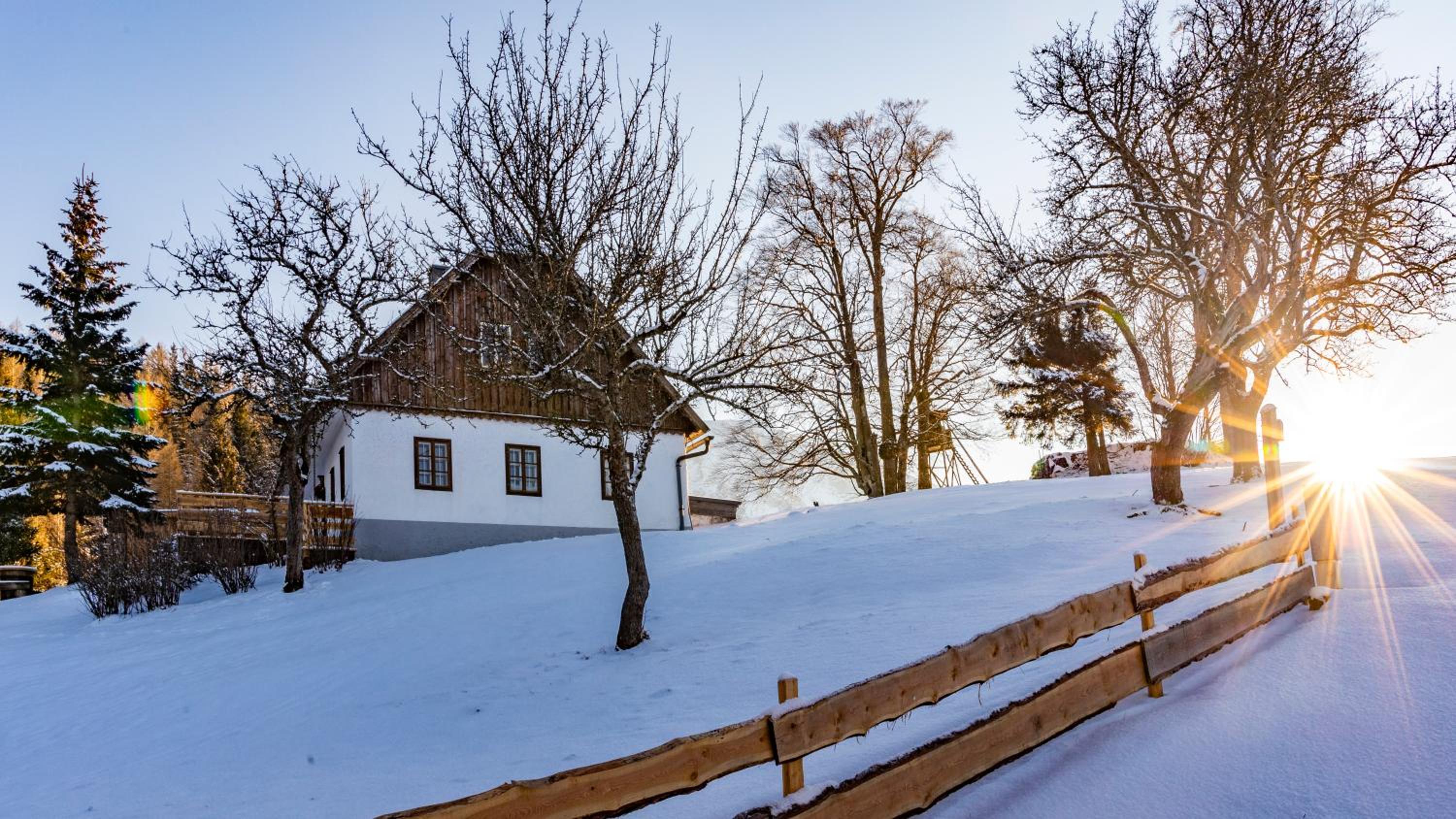 Vacation Home photo 3
