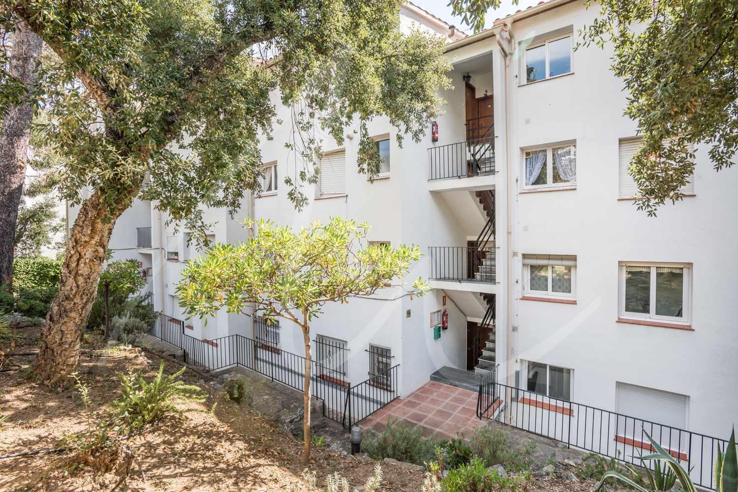 Apartment with Sea View photo 3