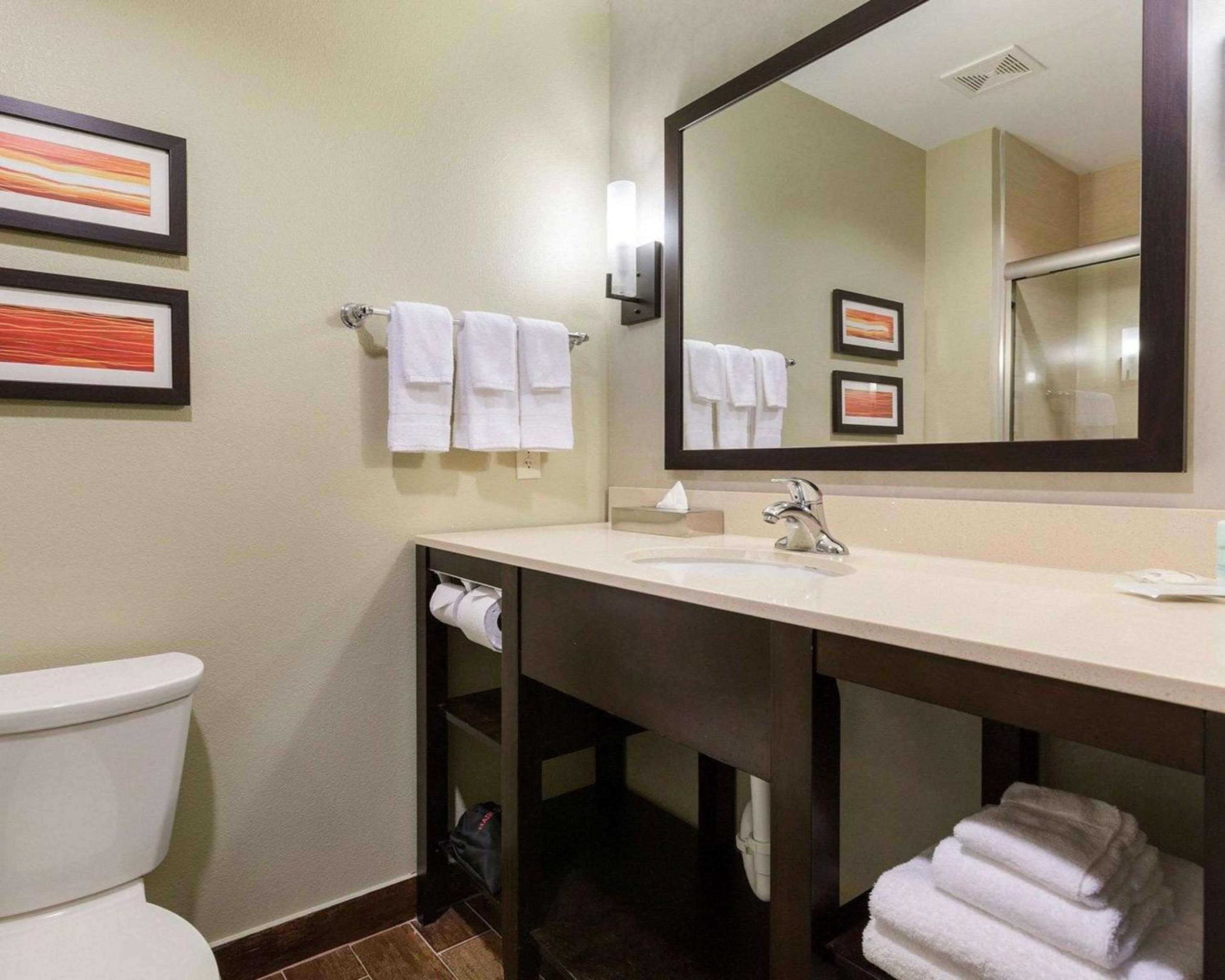 Comfort Suites near Westchase on Beltway 8, Φωτογραφία 3