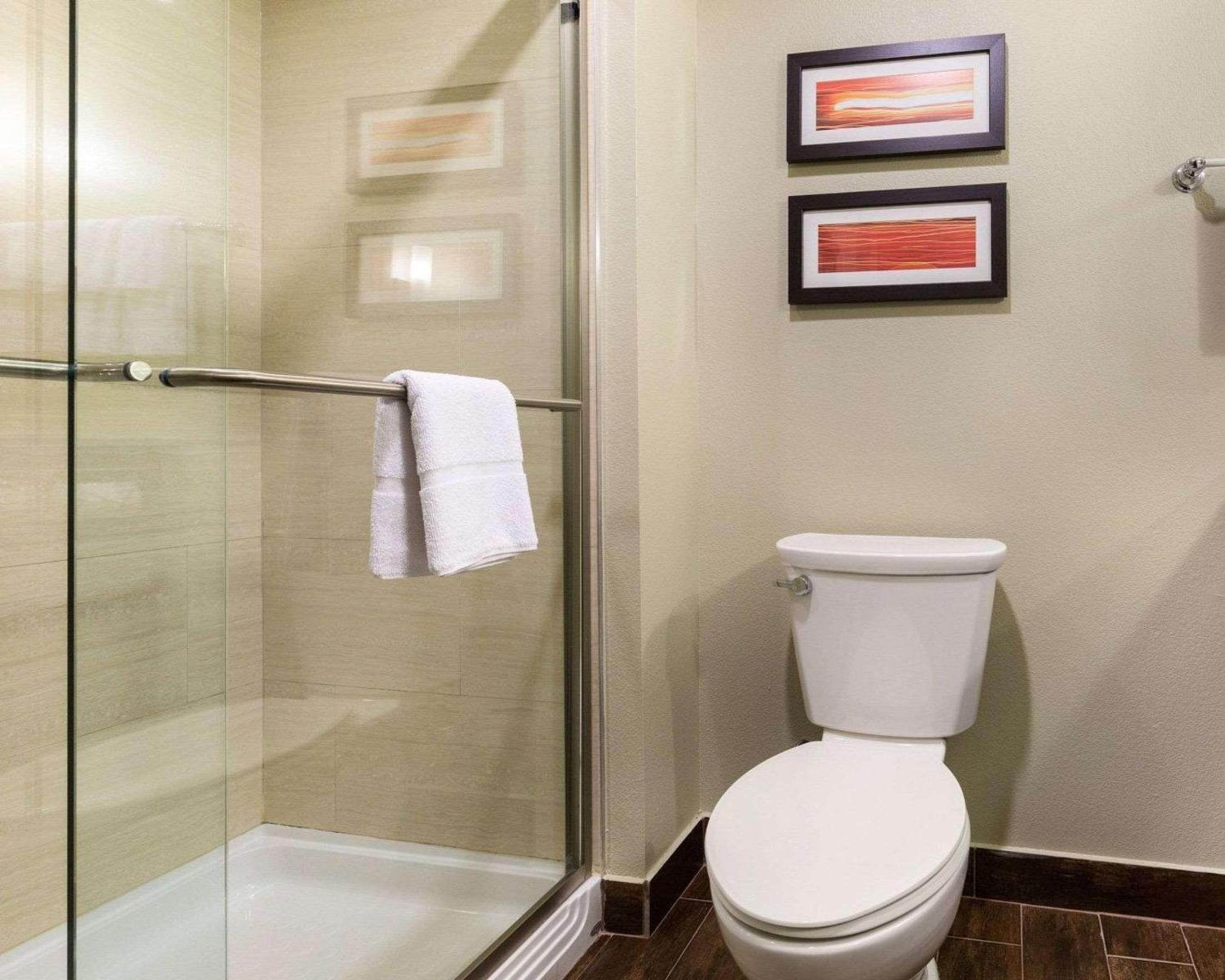 Comfort Suites near Westchase on Beltway 8, Φωτογραφία 2