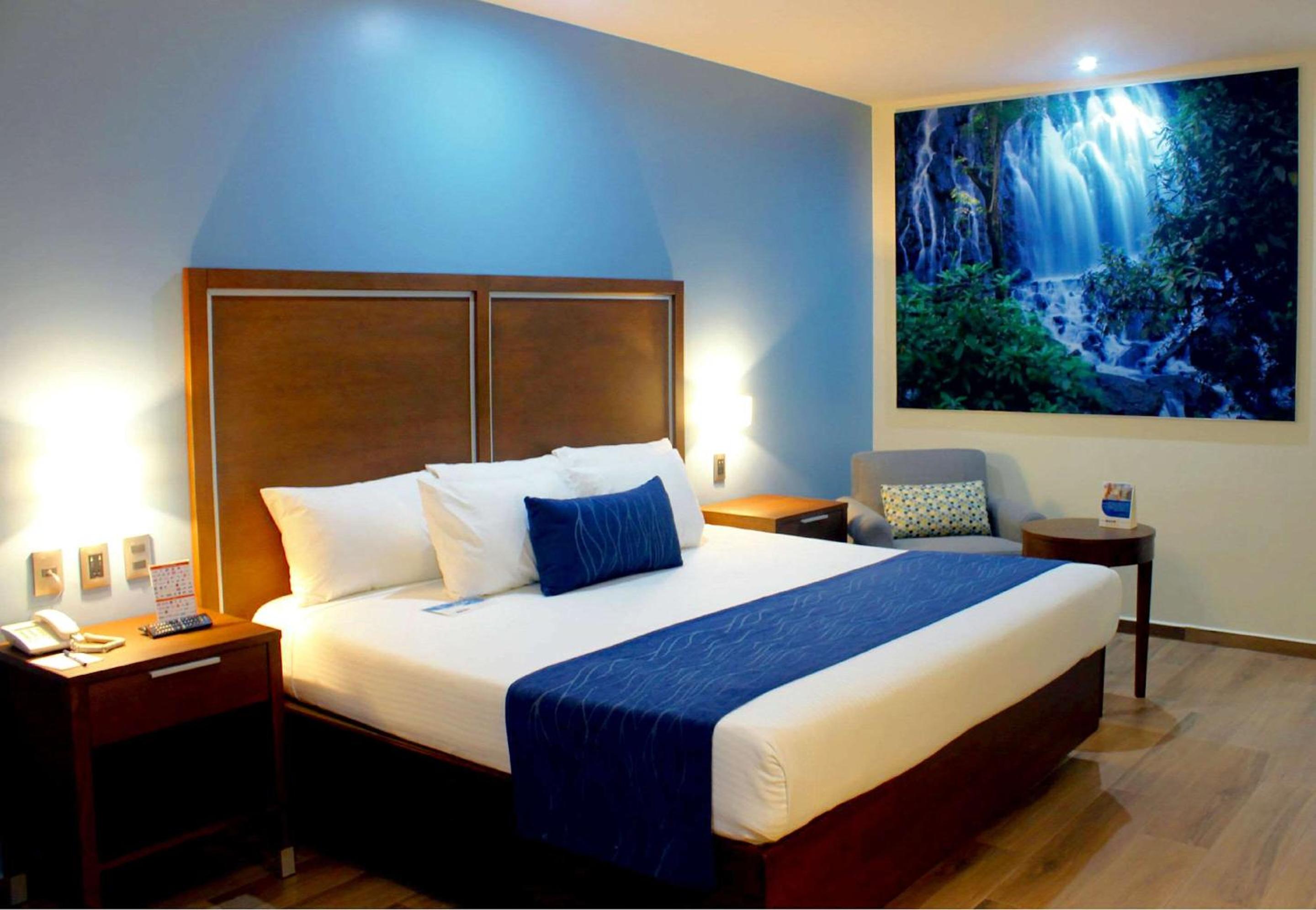 1 King Bed, Suite, Courtyard View