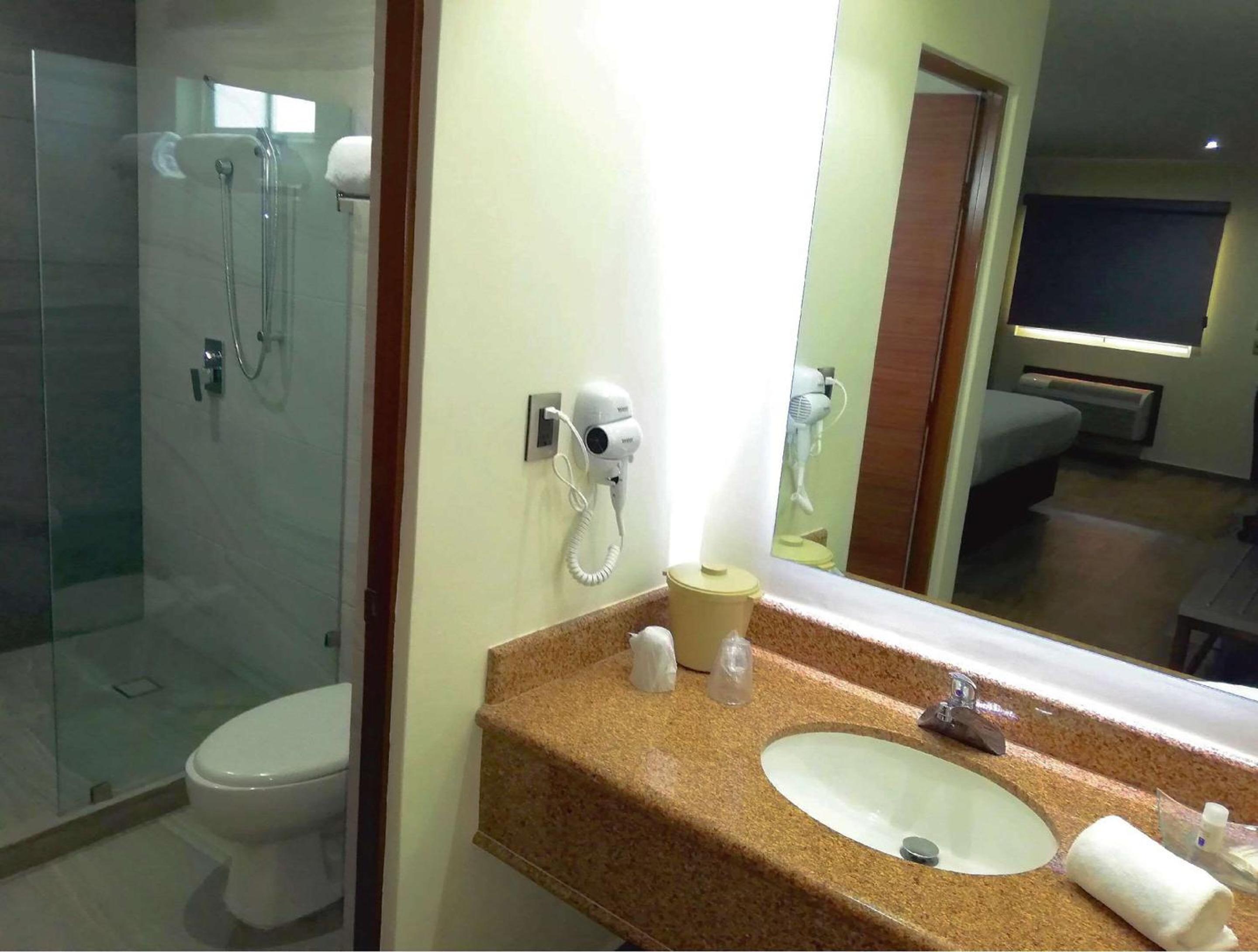 1 King Bed, Suite, Courtyard View