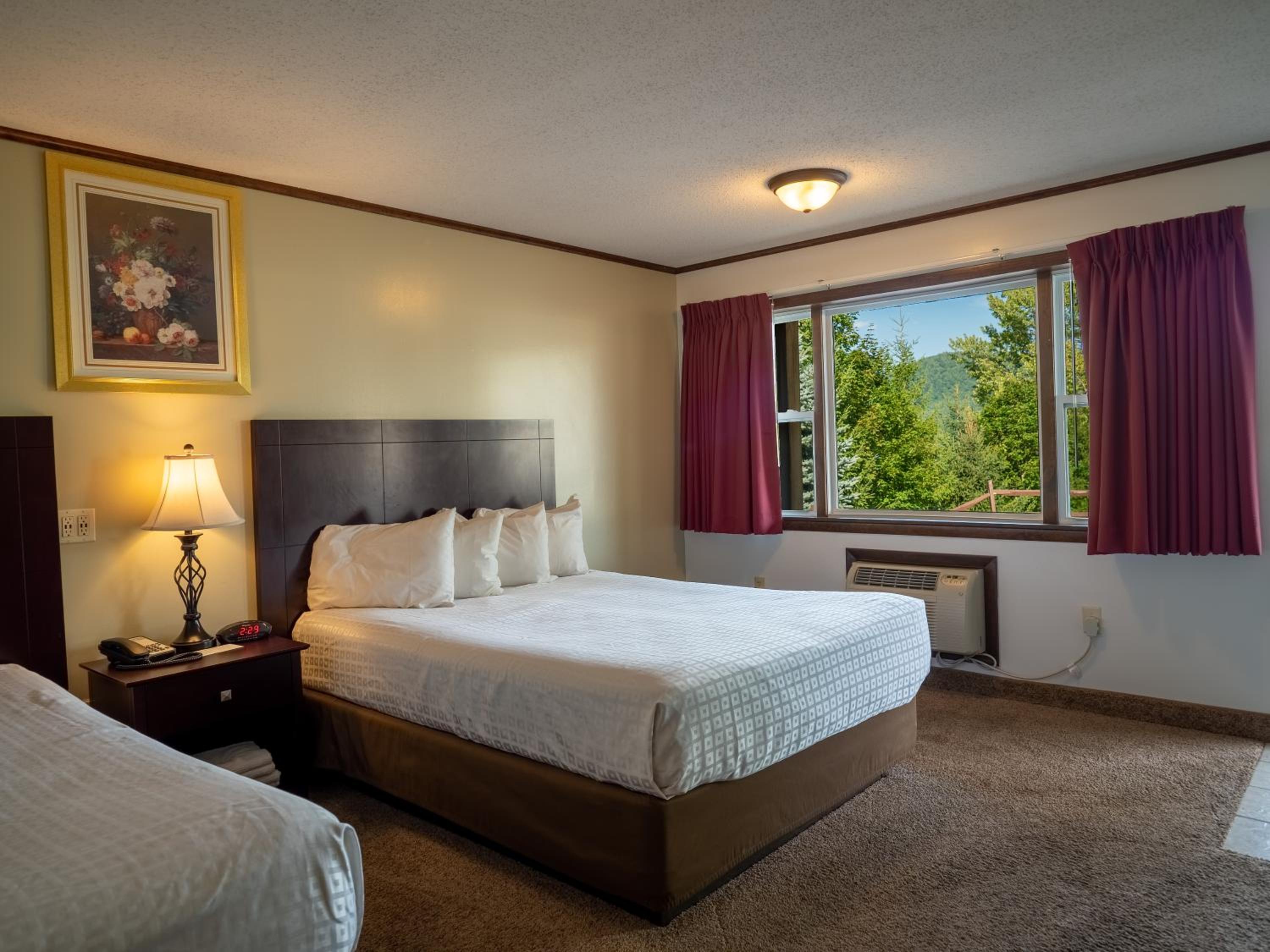 Standard Queen Room photo 1