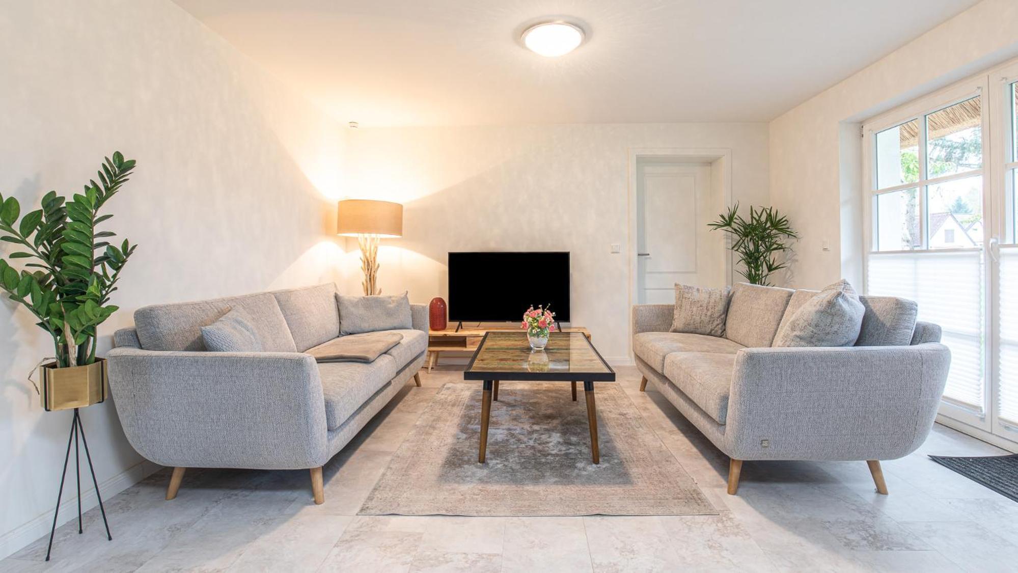 Apartment with Terrace photo 2