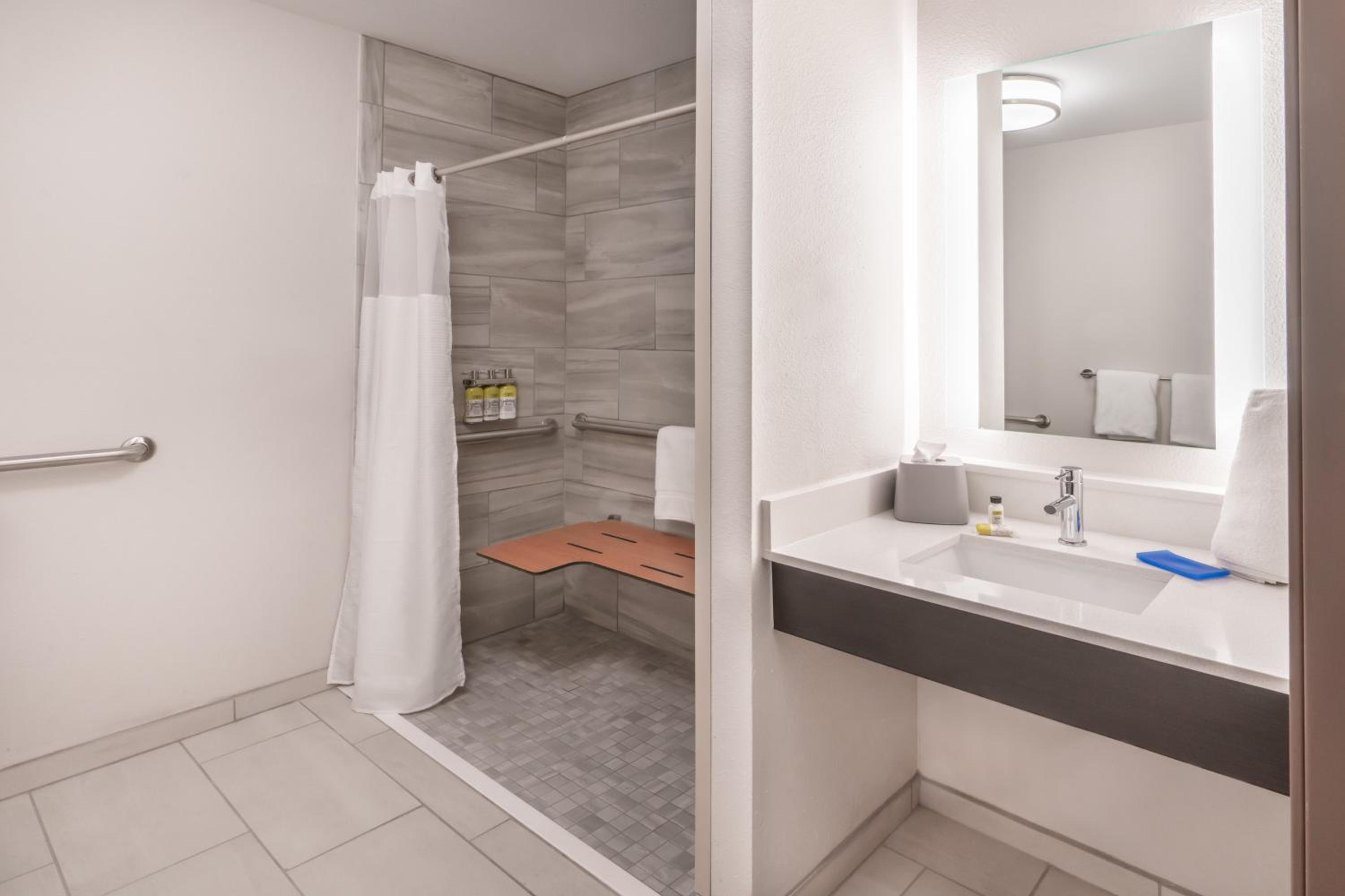 King Suite - Communications and Mobility Accessible Tub - Photo 4