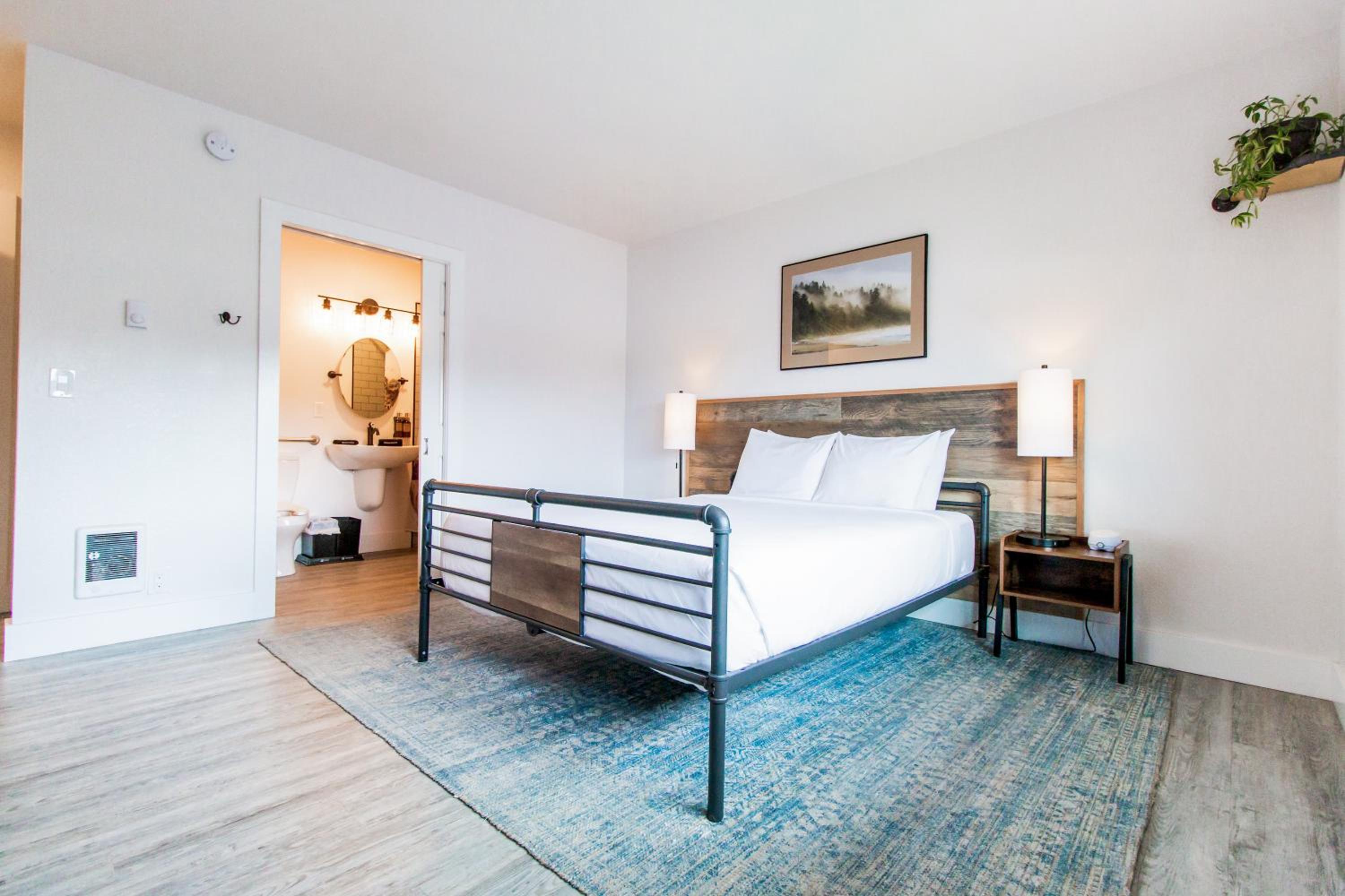 Single ADA Queen Room photo 1