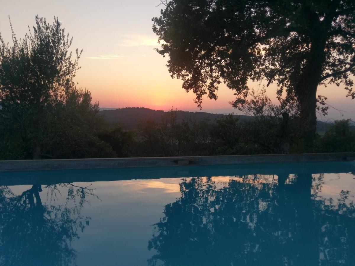 Holiday Home photo 2