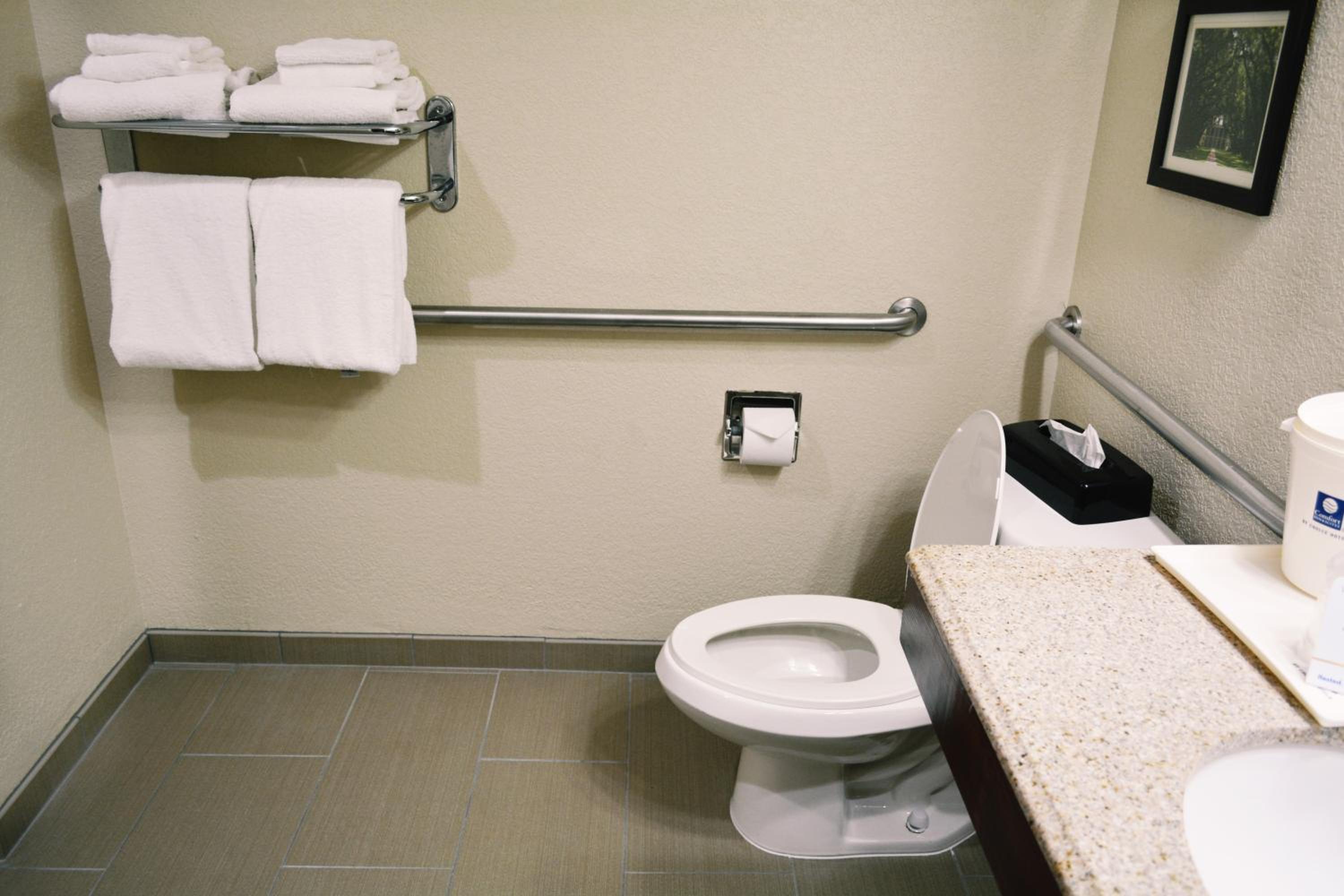 King Room with Hand Rails-Bathroom - Accessible/Non-Smoking - Photo 4