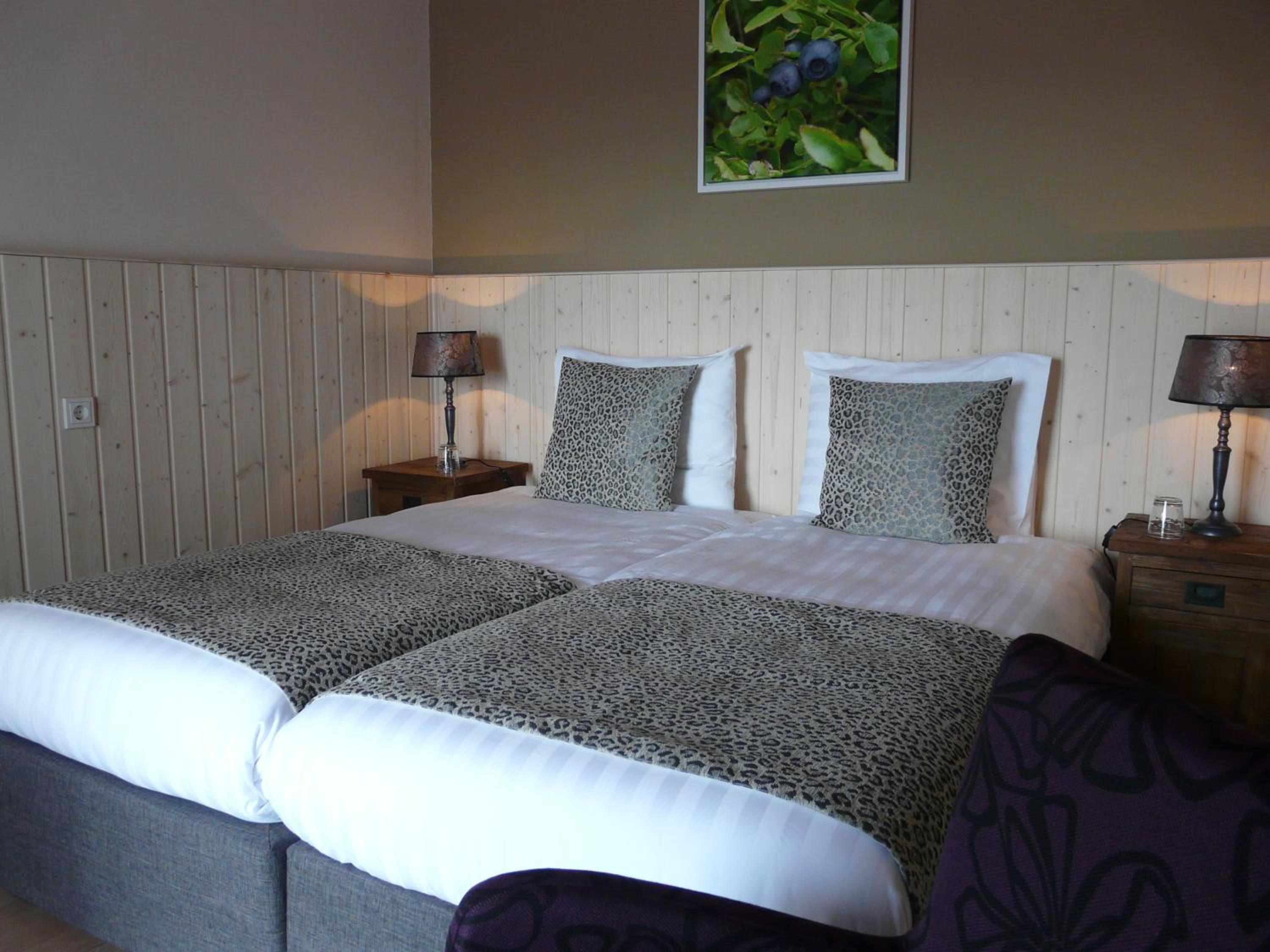 Deluxe Double or Twin Room photo 1