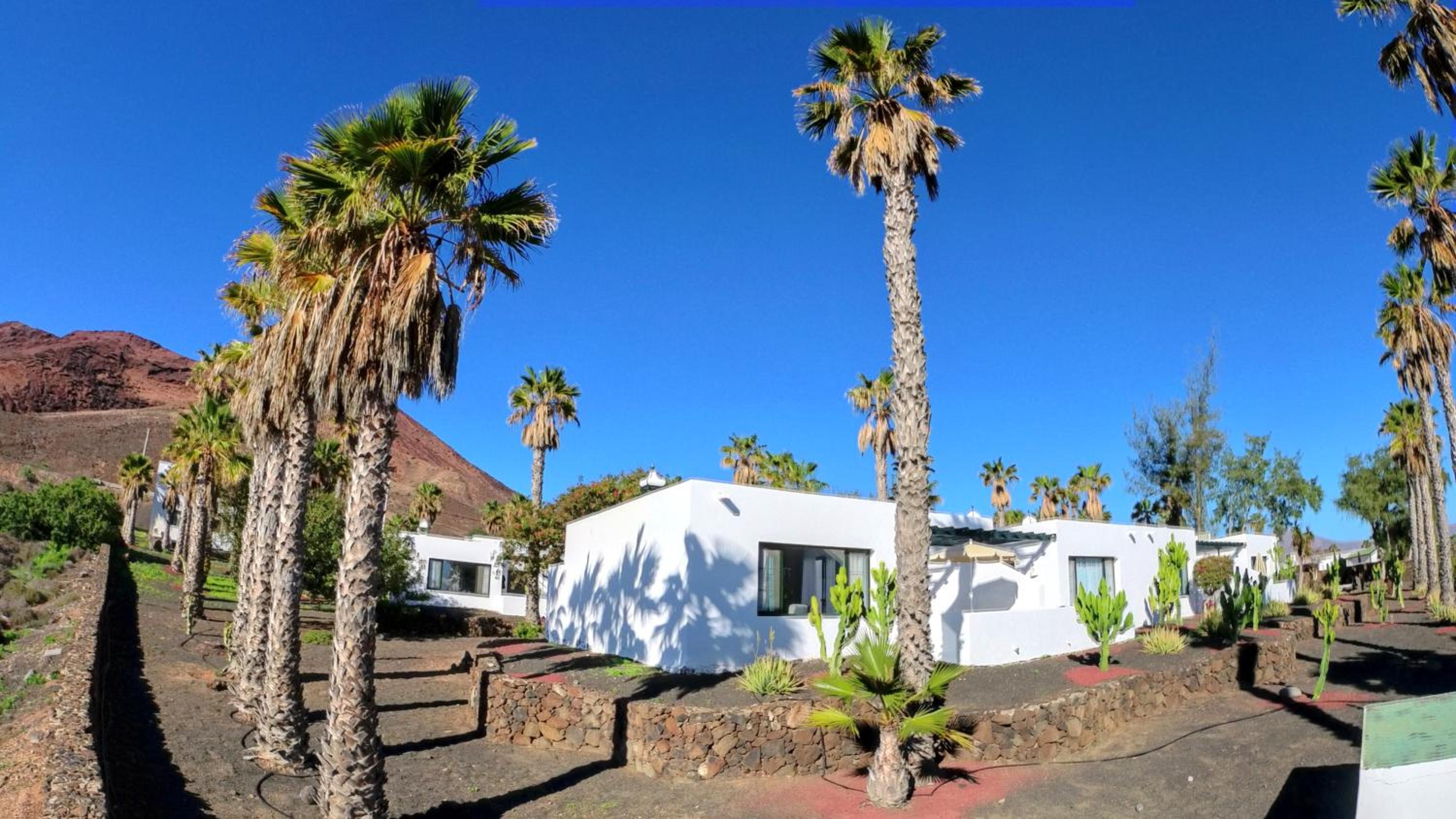 Superior One-Bedroom Bungalow with Terrace